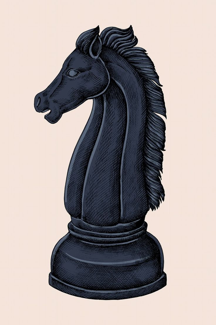 Hand drawn chess knight illustration. premium image / Noon. Knight drawing, Illustration, Knight chess