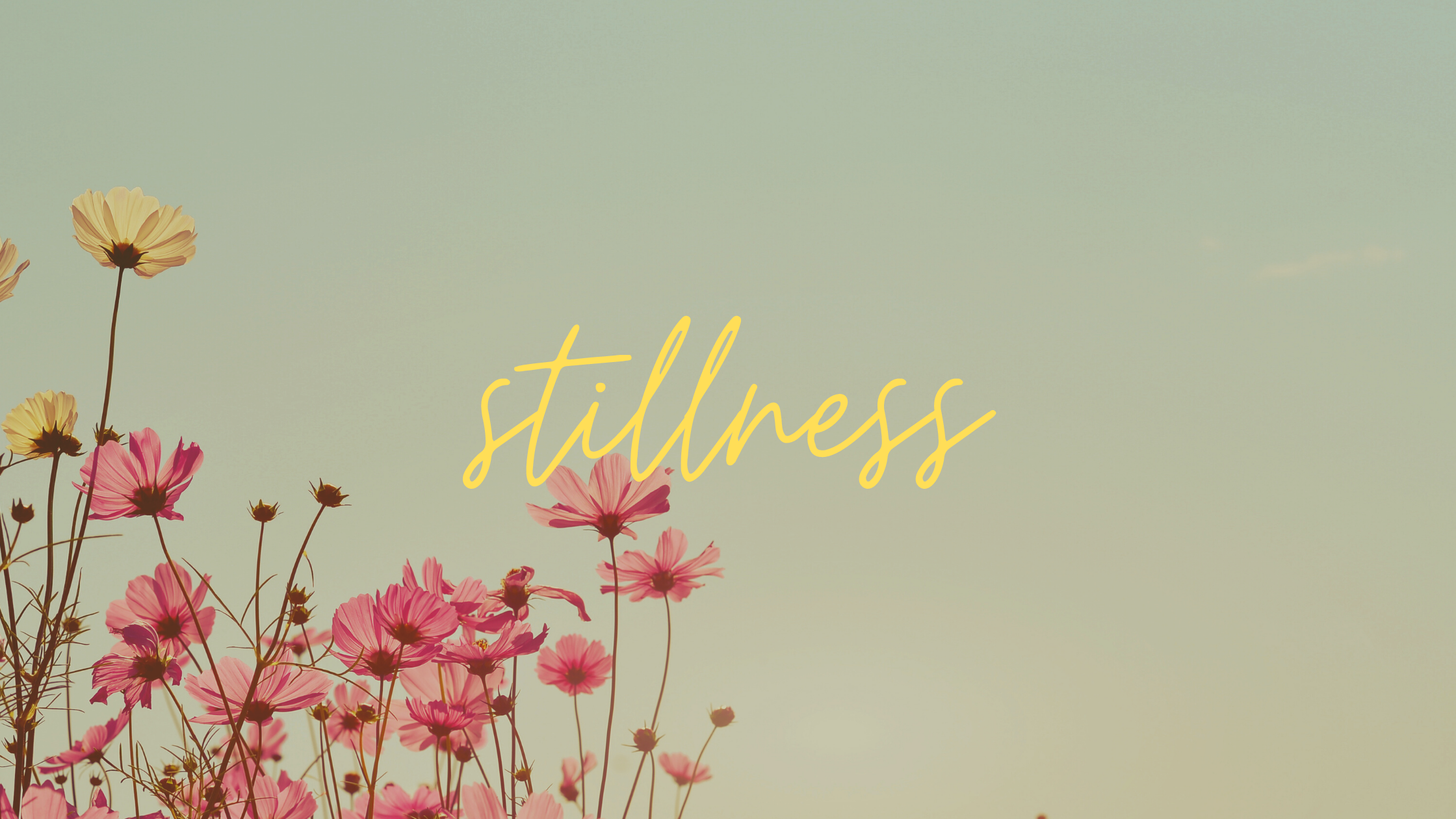 STILLNESS. Yoga Cycle Strength