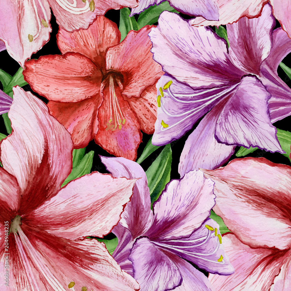 Beautiful vivid purple and red amaryllis flowers on black background. Seamless spring pattern. Watercolor painting. Hand painted floral illustration. Stock Illustration