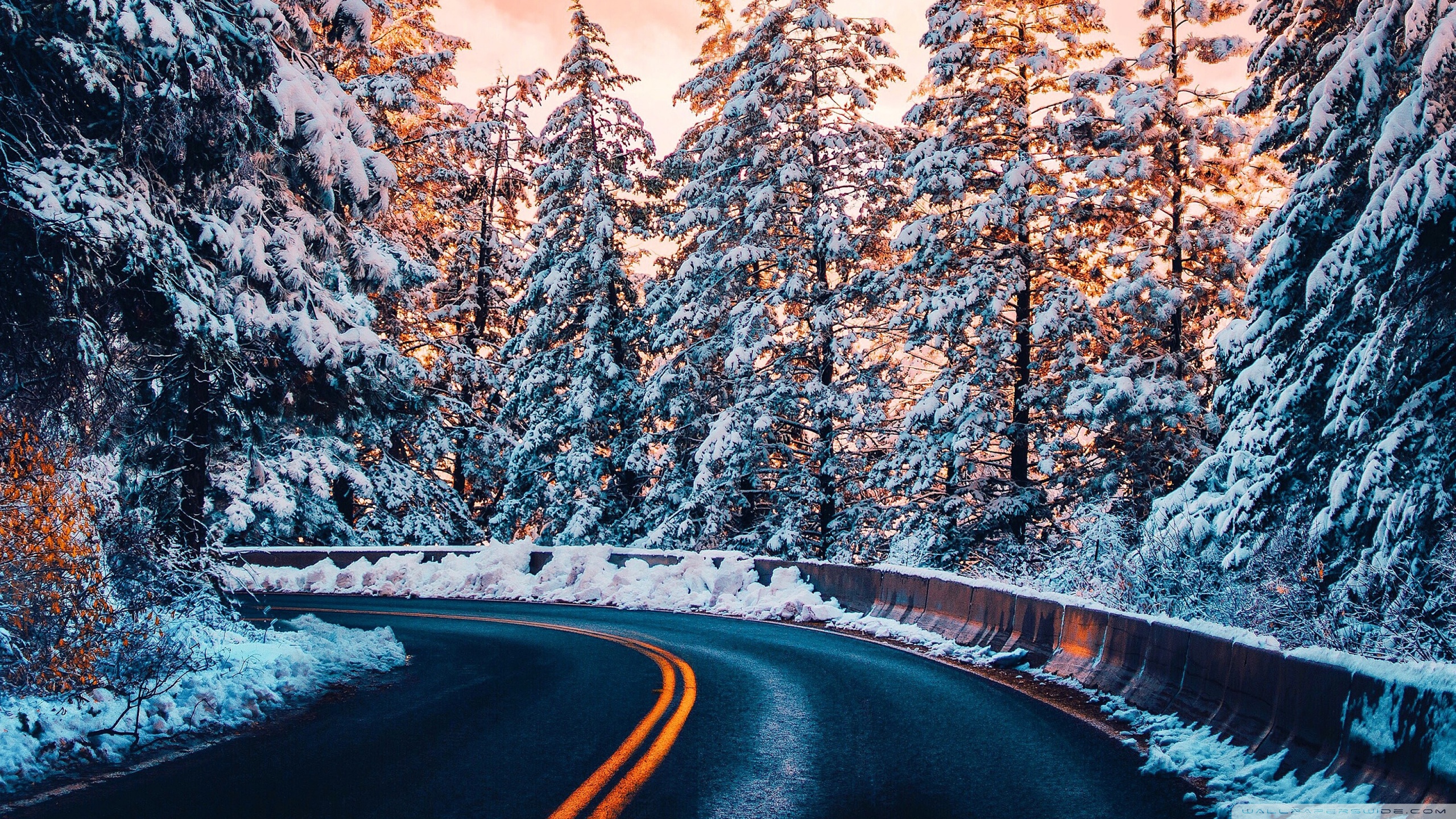 Winter Forest Road Ultra HD Desktop Background Wallpaper for 4K UHD TV, Widescreen & UltraWide Desktop & Laptop, Tablet