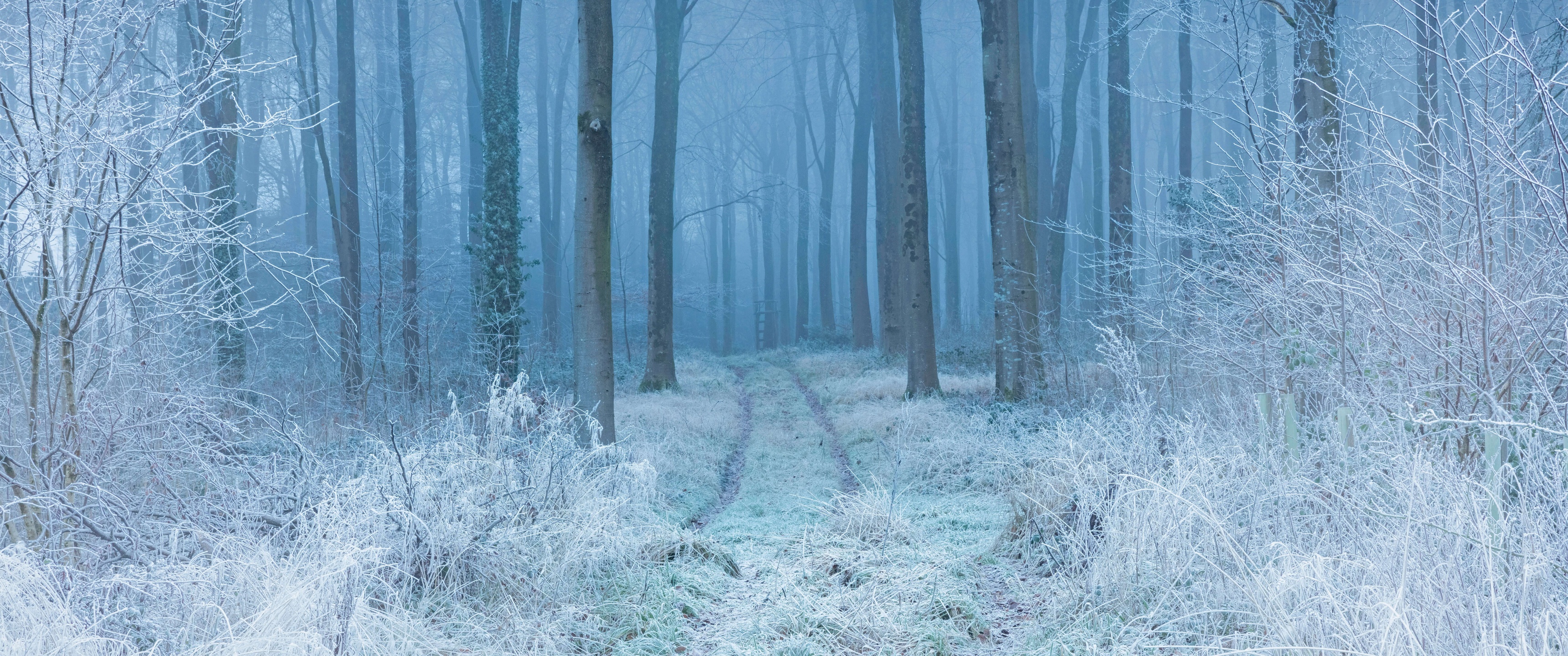 Winter Anime Forest Wallpapers - Wallpaper Cave