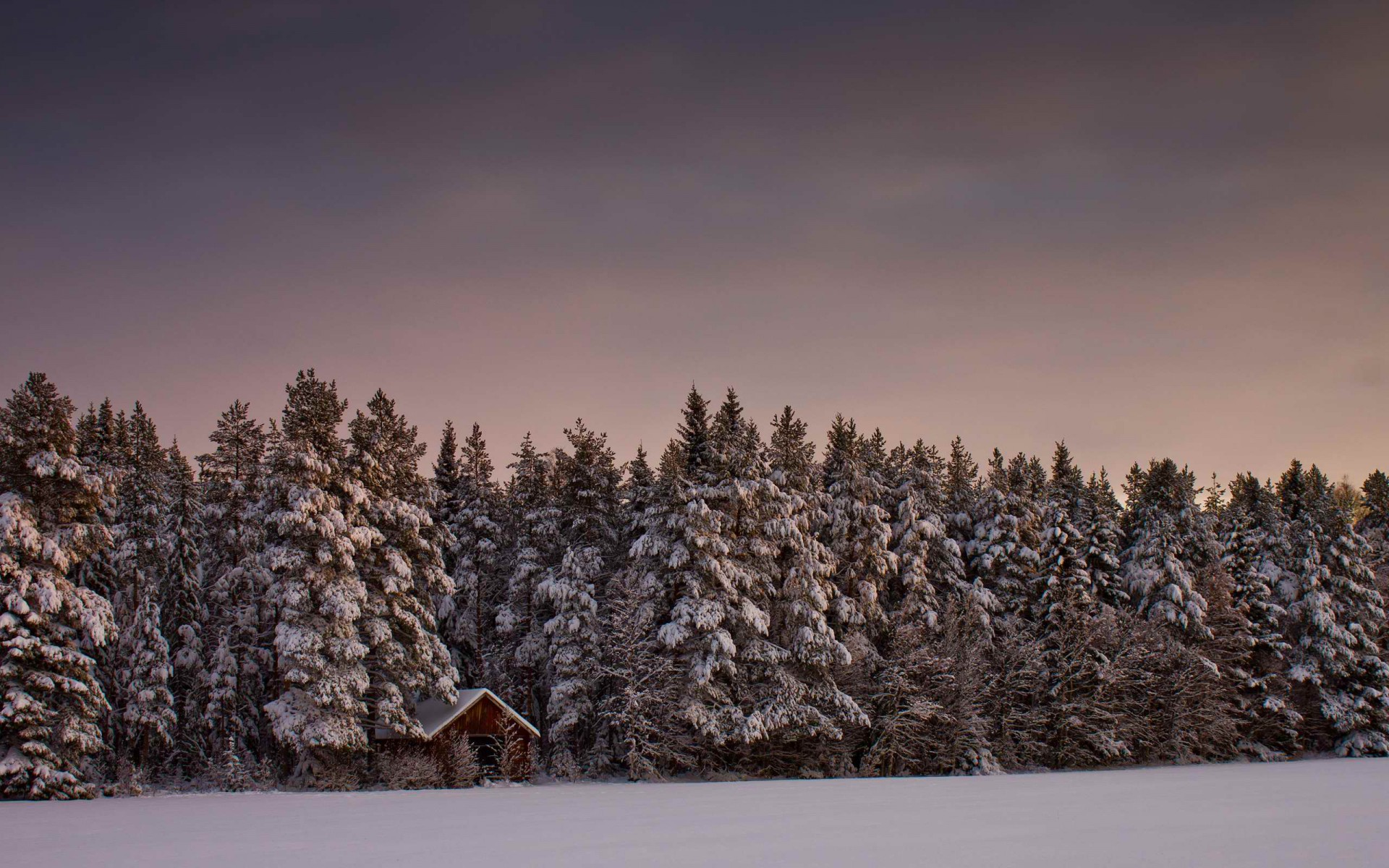 Winter Forest Cabin Snowy Sky desktop PC and Mac wallpaper