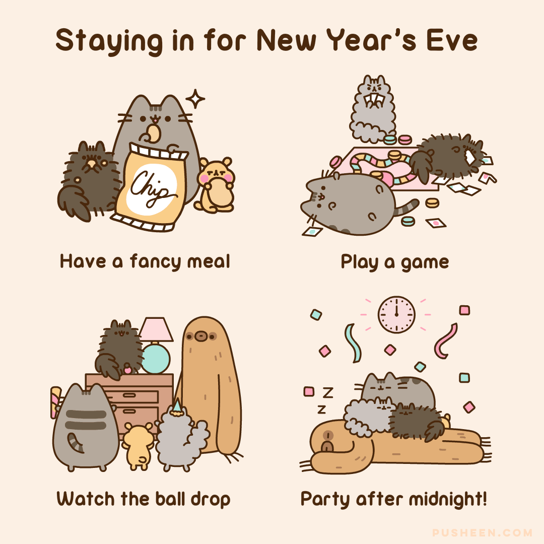 Pusheen, New Year's