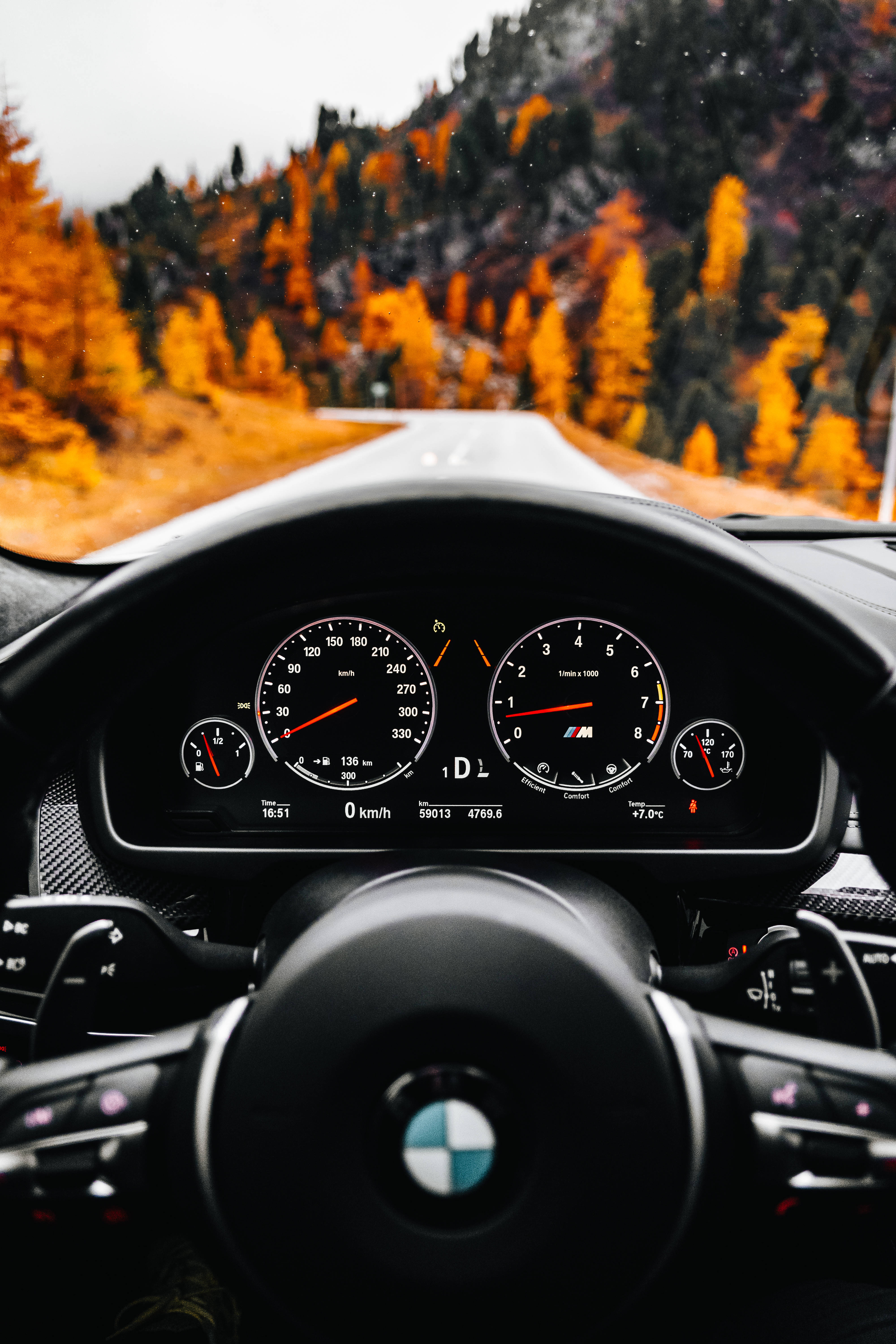 Download Best Autumn Car Dashboard Wallpaper