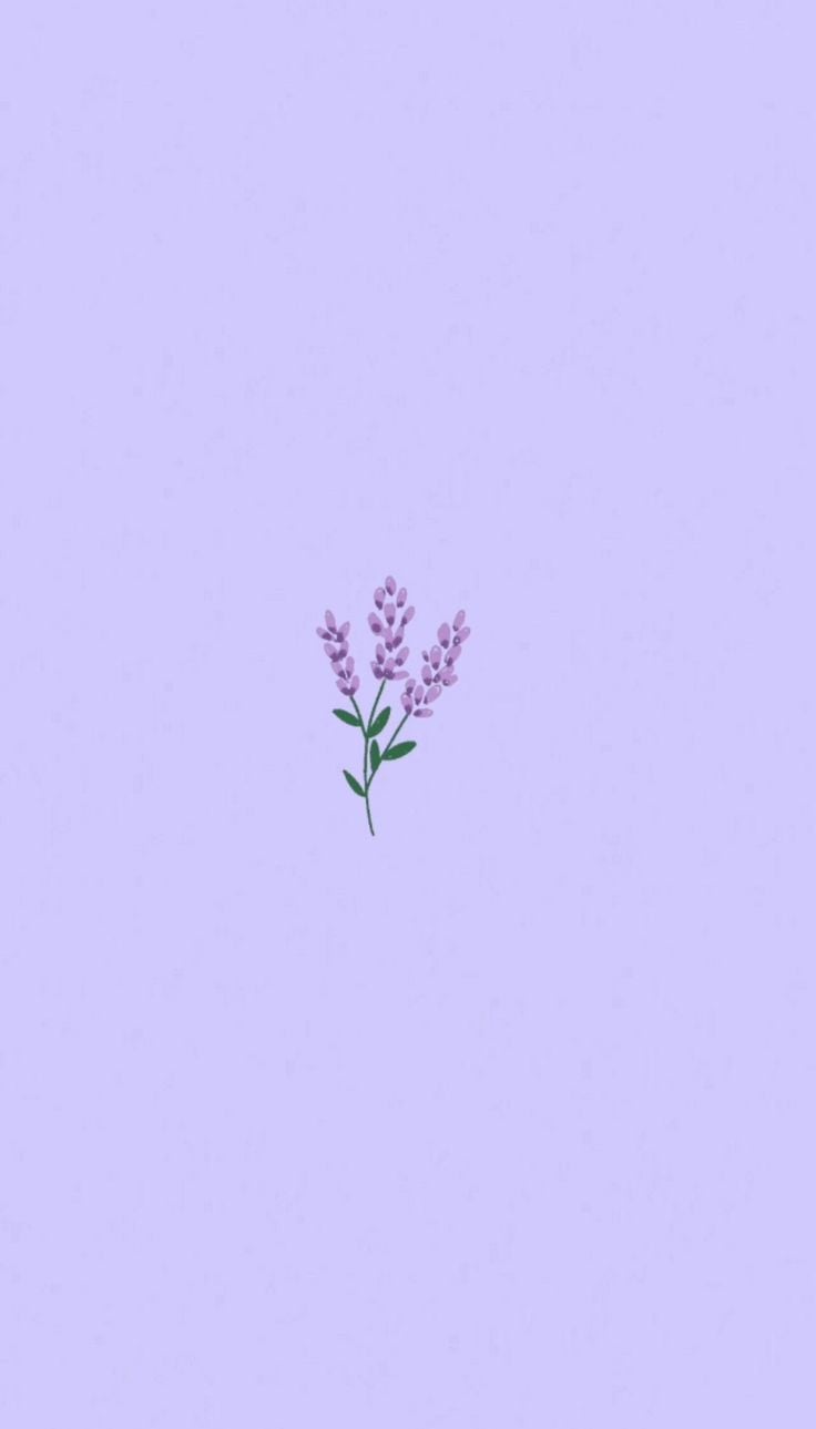 Purple flowers wallpaper, Purple wallpaper phone, Light purple wallpaper