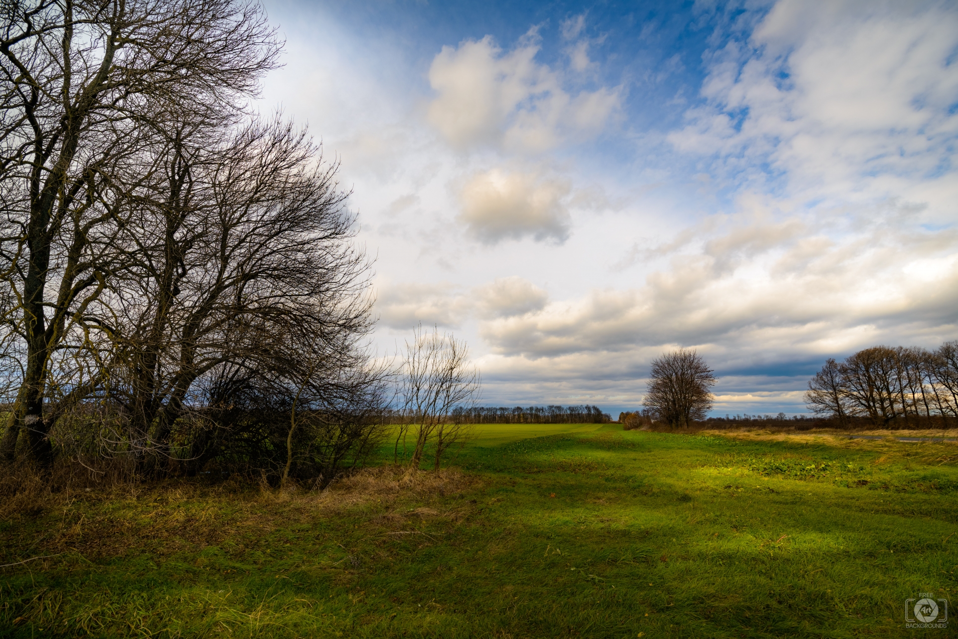 Rural Country Landscape Background Quality Free Background