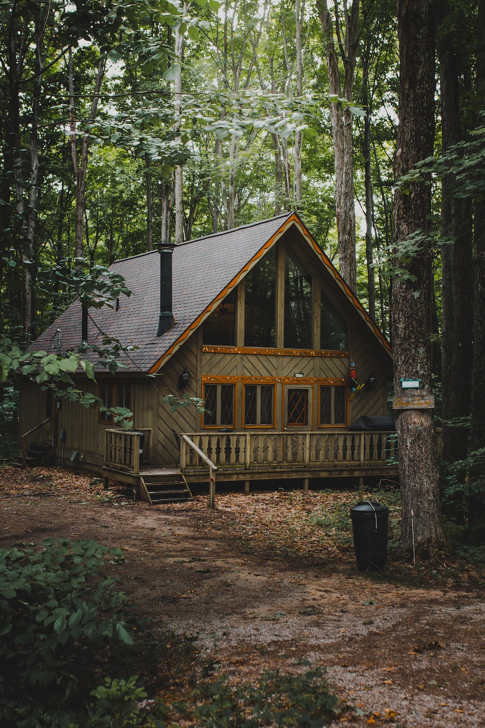 Forest House Picture. Download Free Image