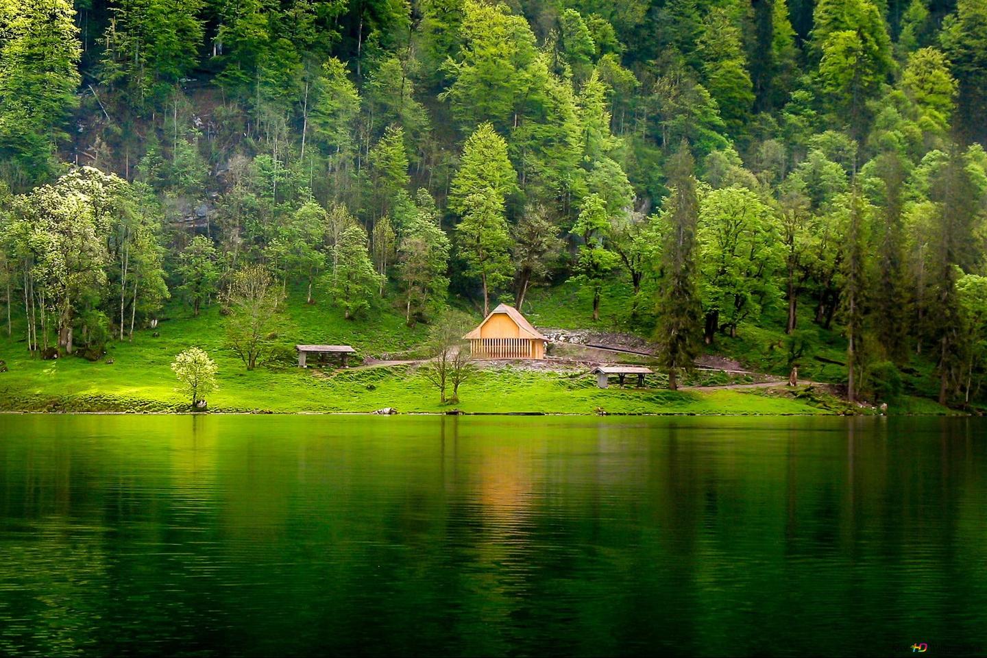 Beautiful Forest house HD wallpaper download