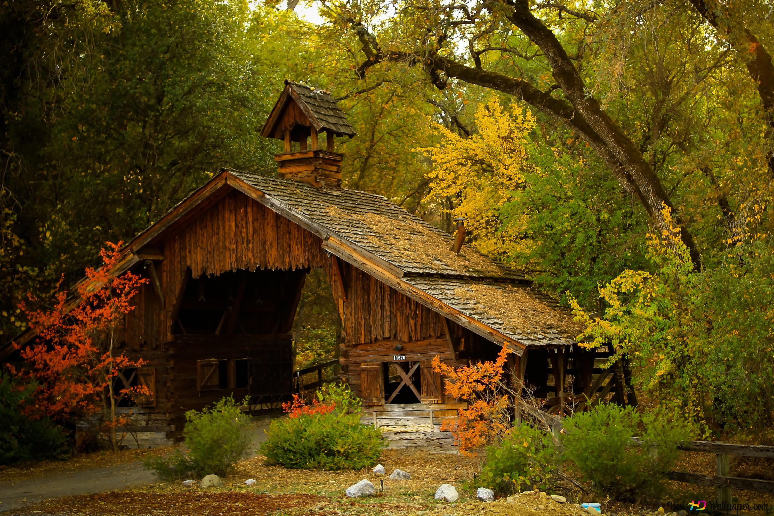 House with a forest view 4K wallpaper download