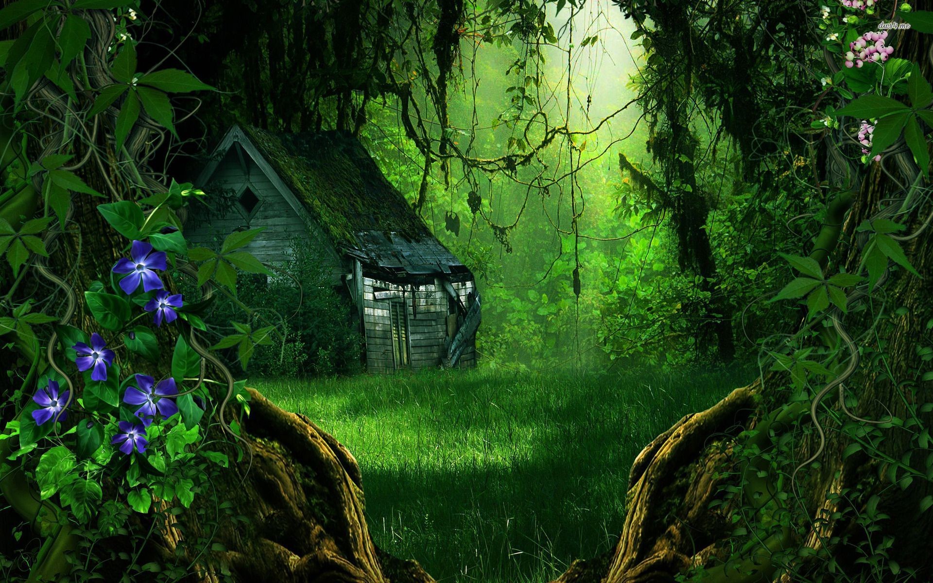 Abandoned house in the forest wallpaper