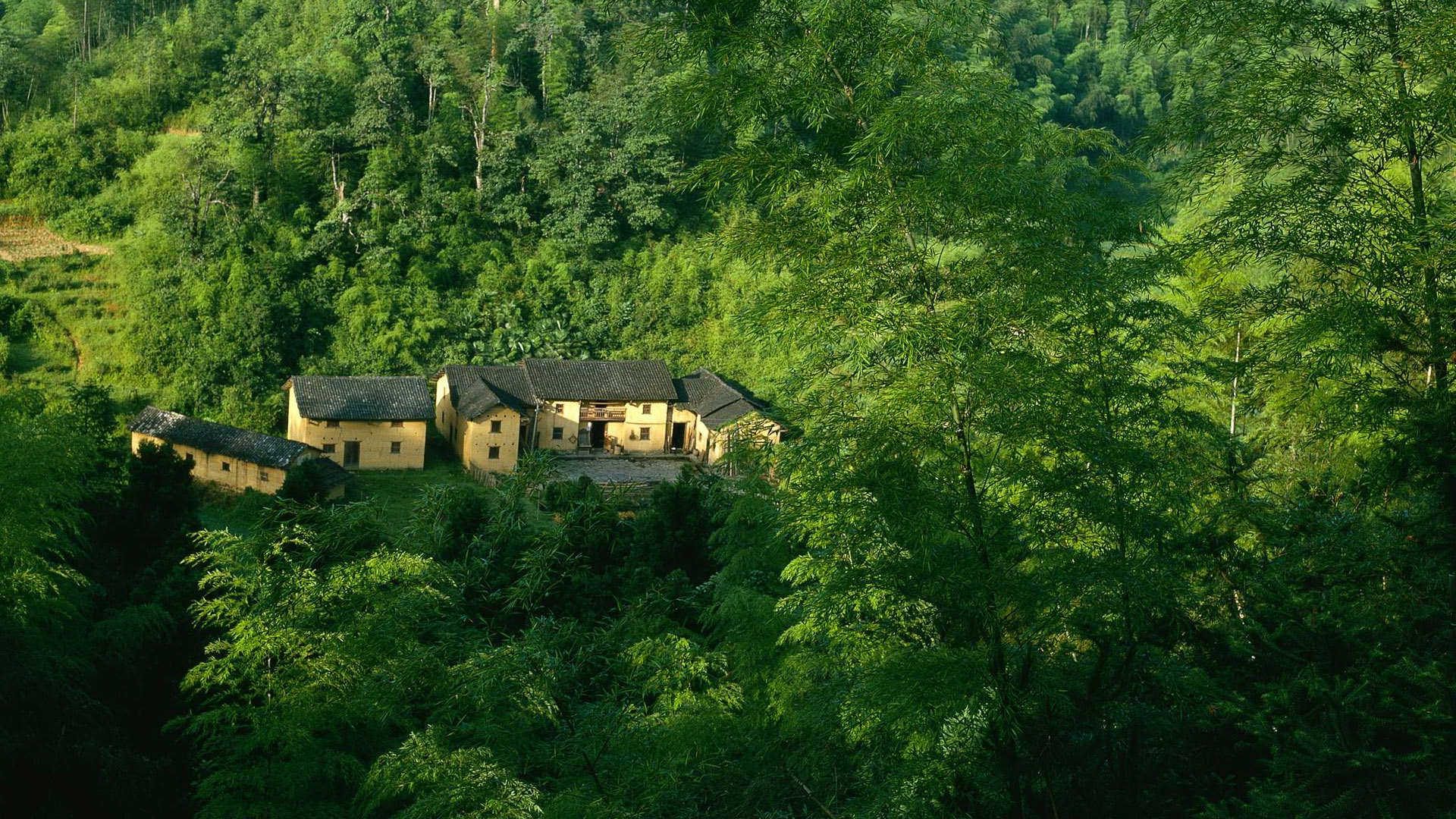 Free download House in the forest wallpaper [1920x1080] for your Desktop, Mobile & Tablet. Explore Forest Wallpaper for Home. Forest Background, Forest Wallpaper for Computer, Wallpaper for Home