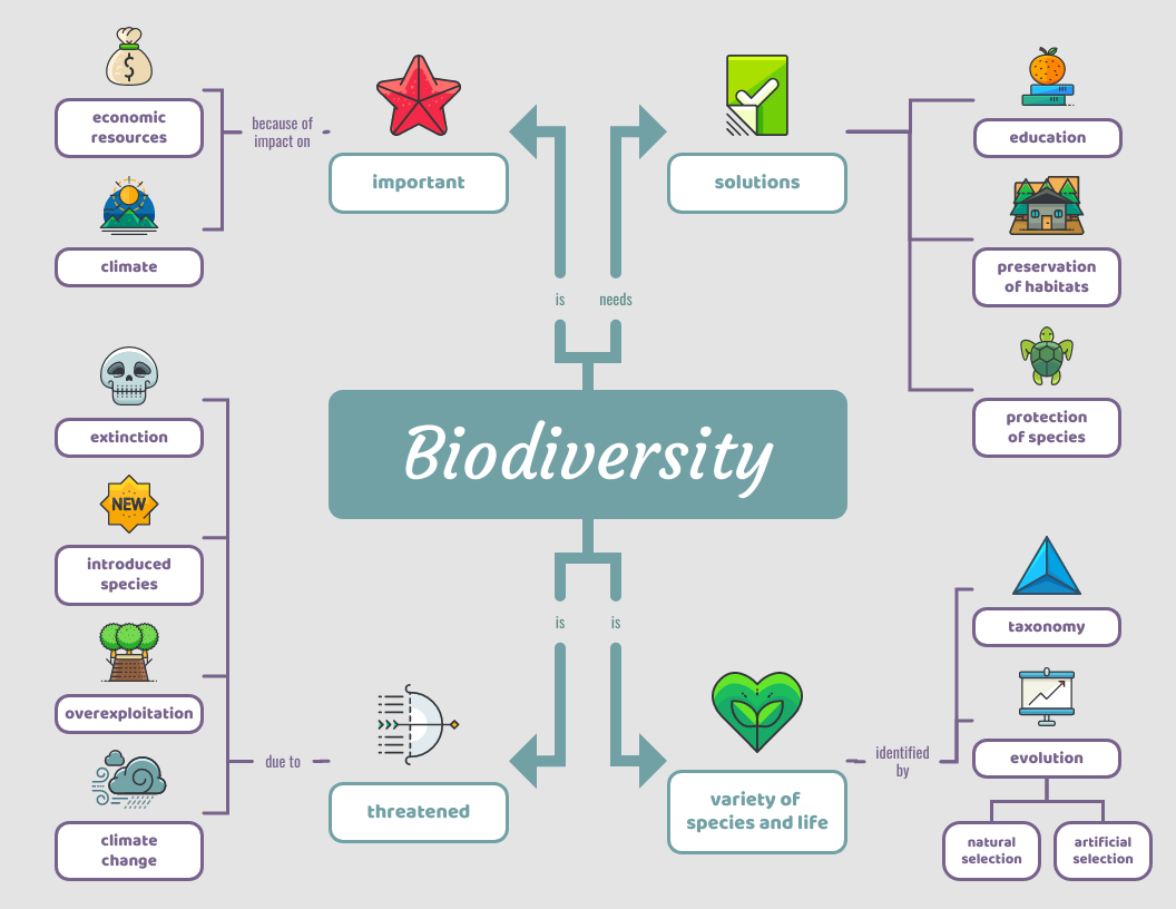 Light Biodiversity Biology Concept Map