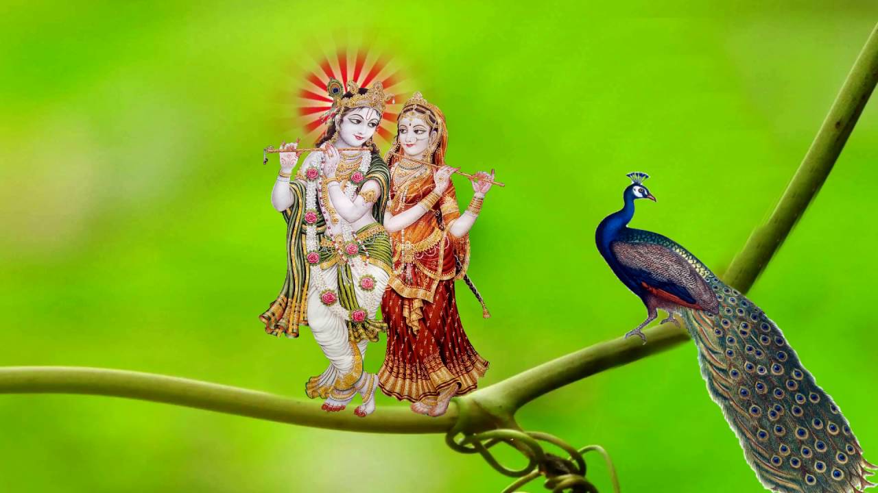 The Indian God Radha Krishna wallpaper