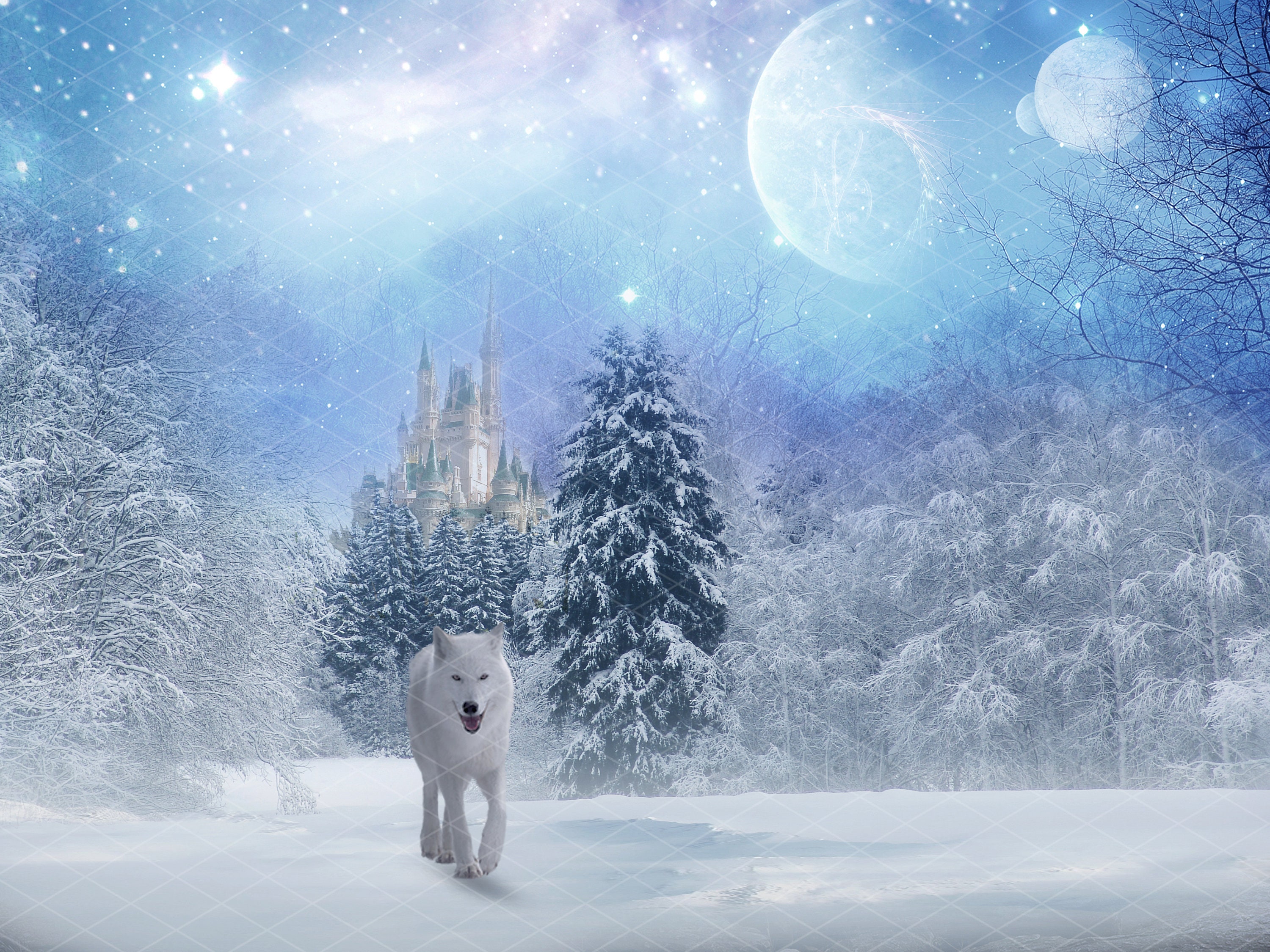 Fantasy Magical Winter Landscape With Castle & White Wolf