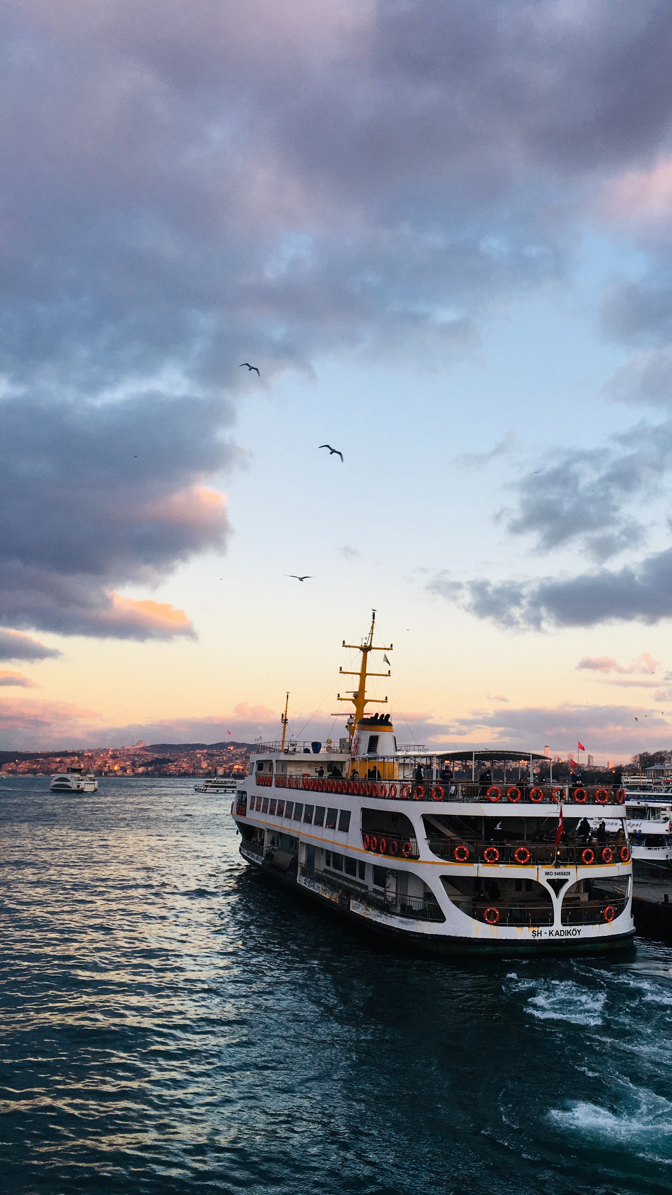 A Ferry Boat on the Bosporus Strait · Free