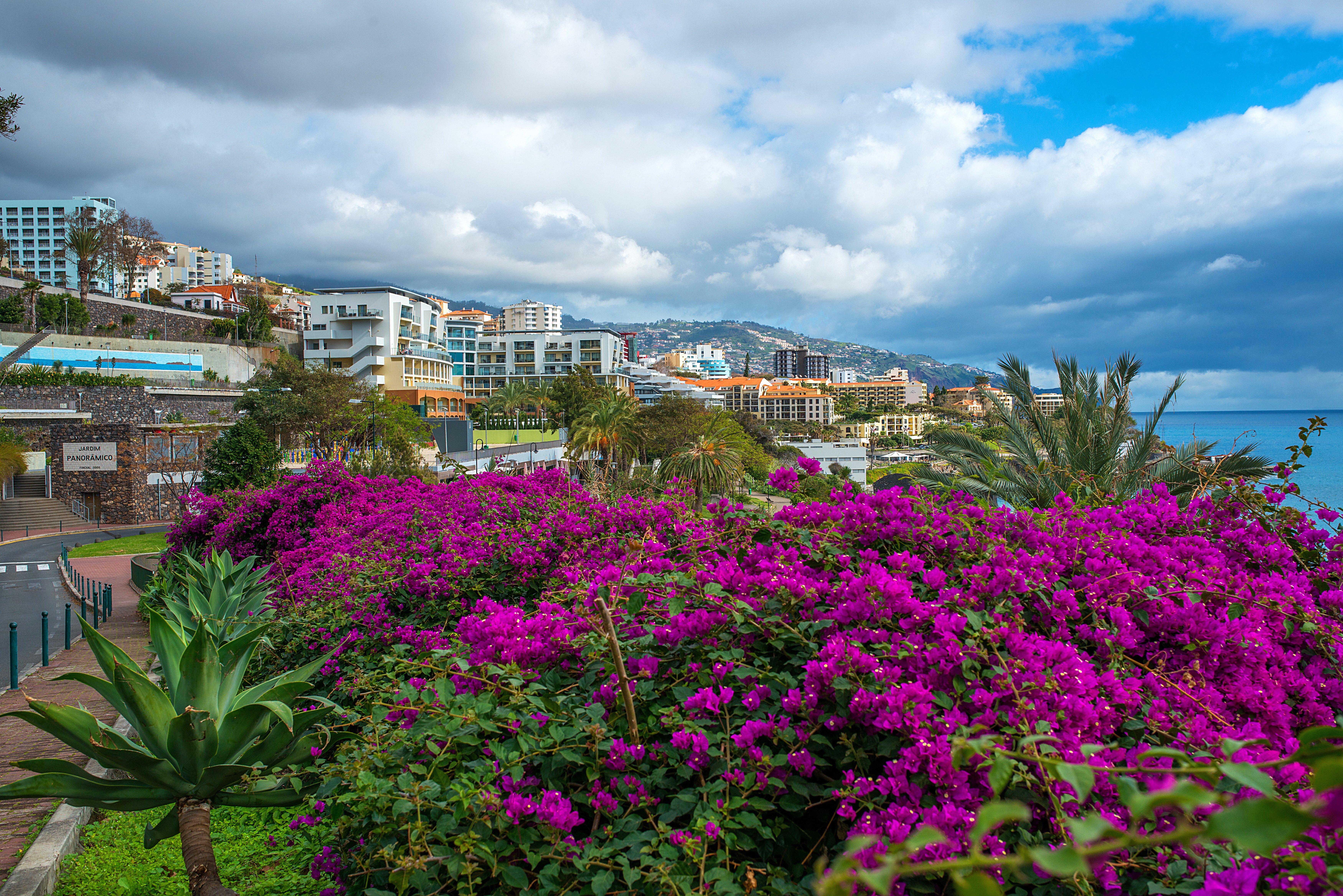 Portugal Houses Bougainvillea Clouds Funchal Madeira Island Cities wallpaperx4672