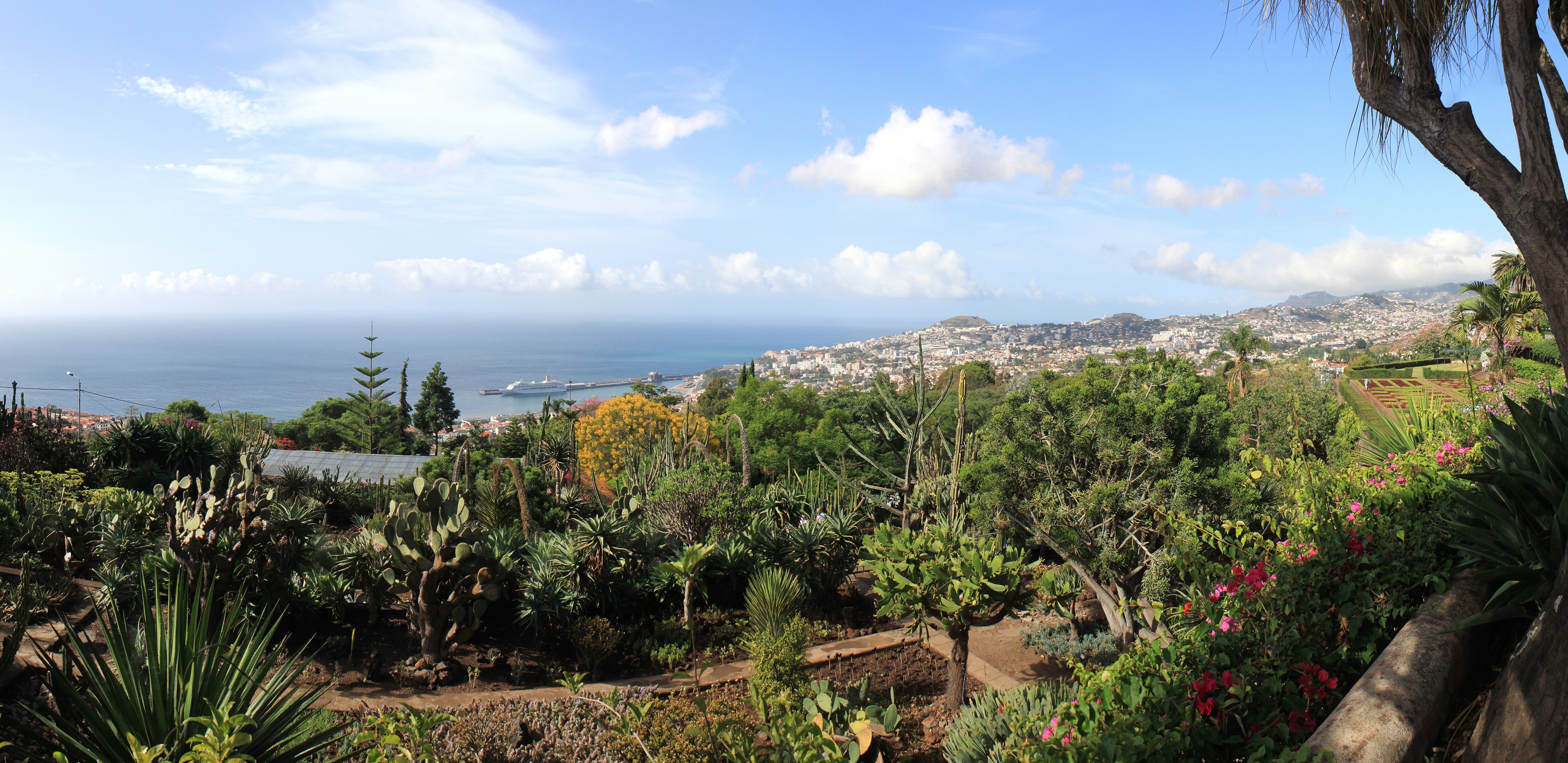 4K, Botanical garden Funchal Madeira, Portugal, Gardens Gallery HD Wallpaper