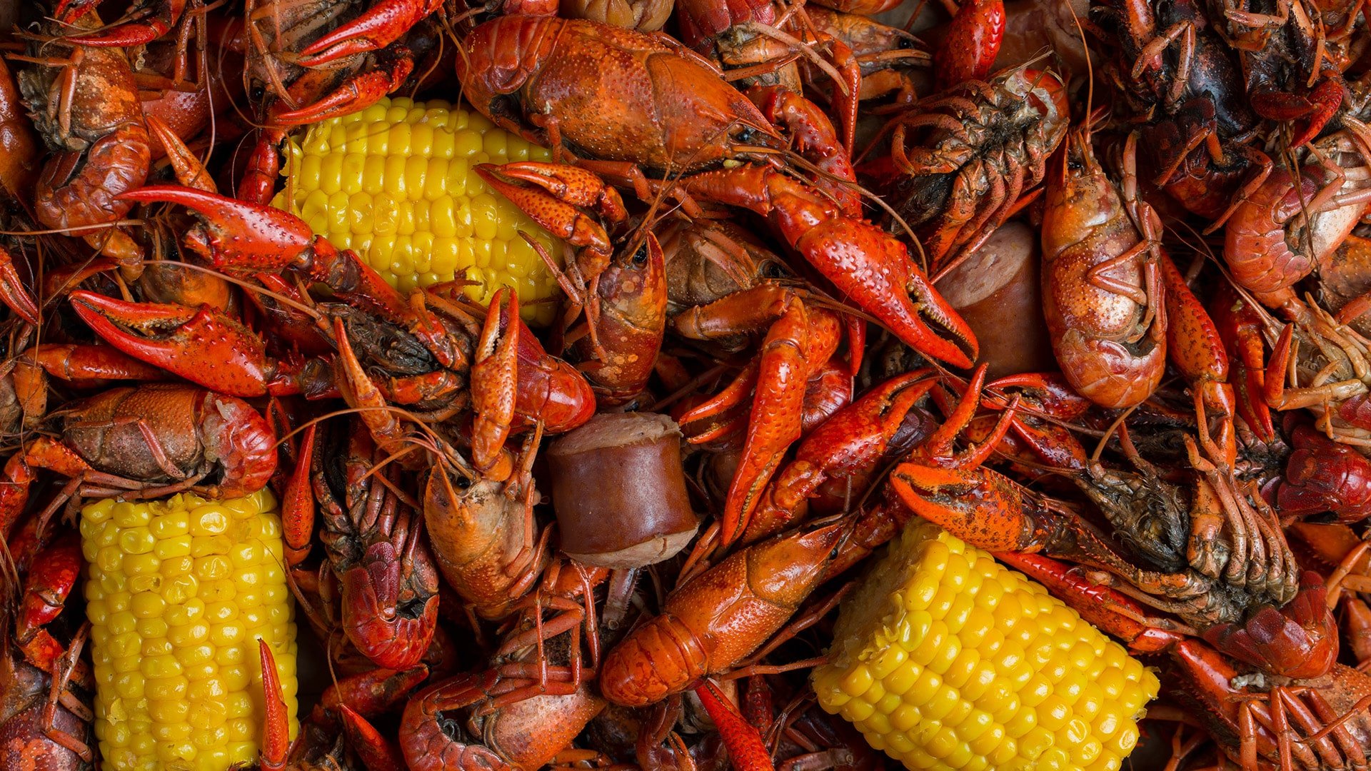 Crawfish Boil Fabric Wallpaper and Home Decor  Spoonflower