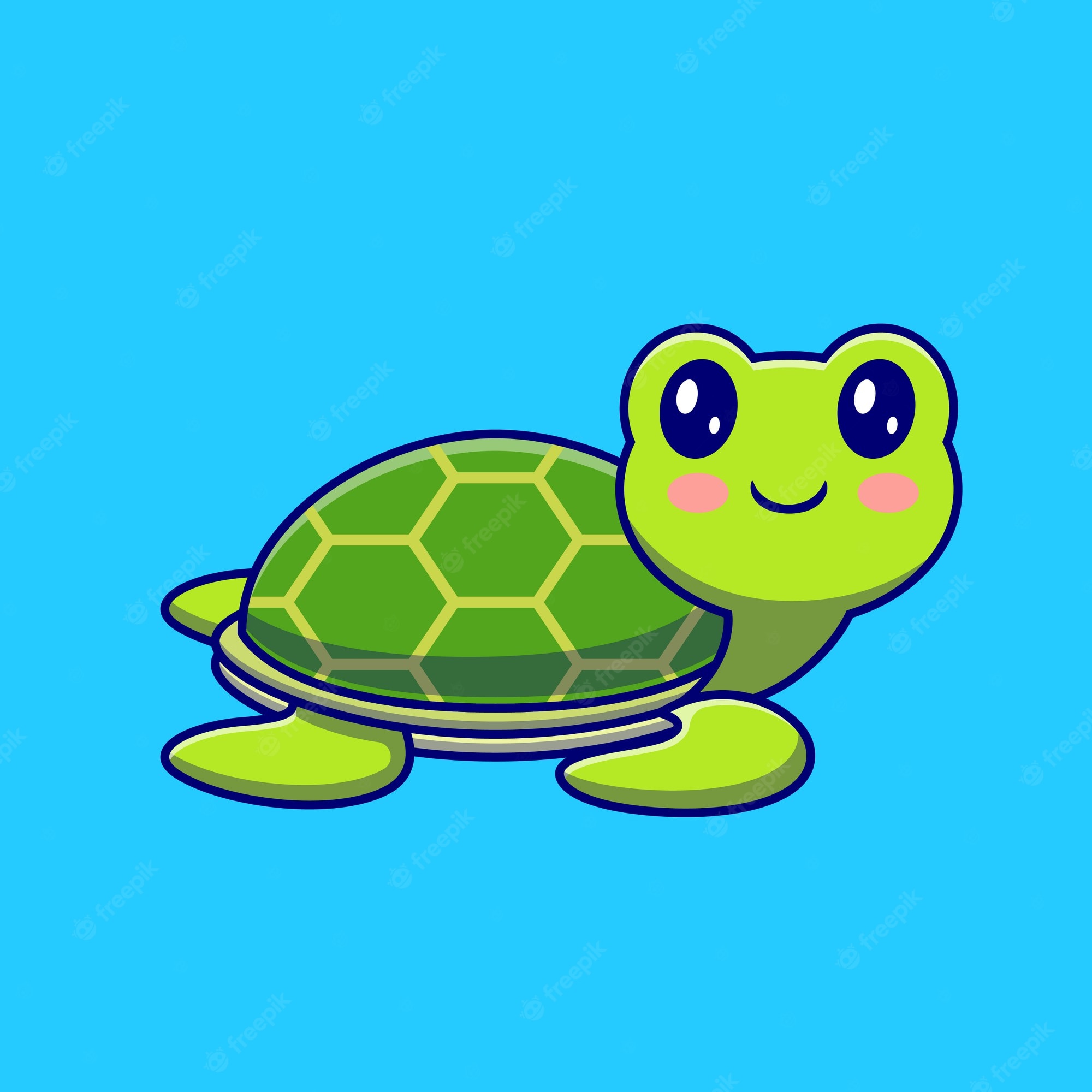 Cute Turtle Image