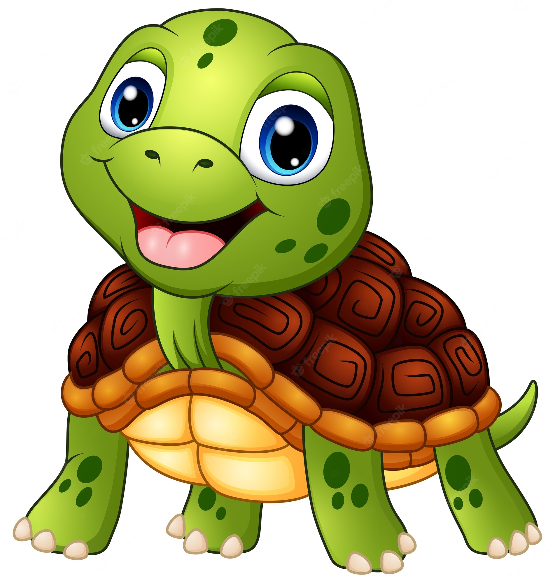 Turtle Cartoon Image