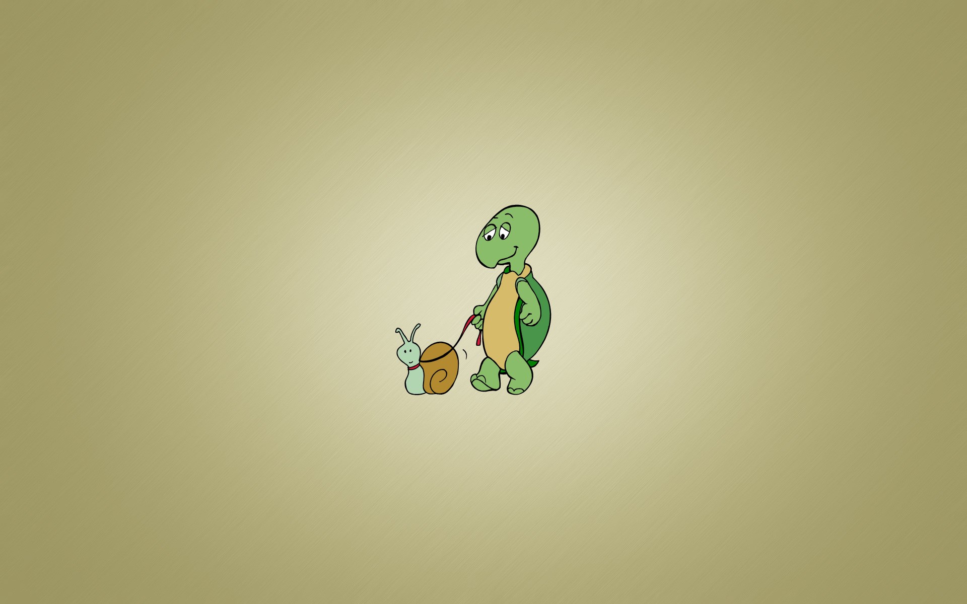 Turtle HD Wallpaper and Background