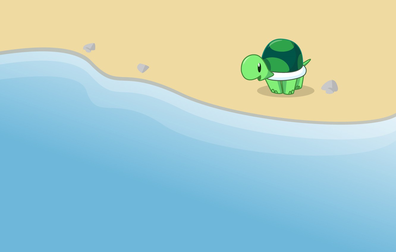 Wallpaper turtle, sea. shore image for desktop, section минимализм