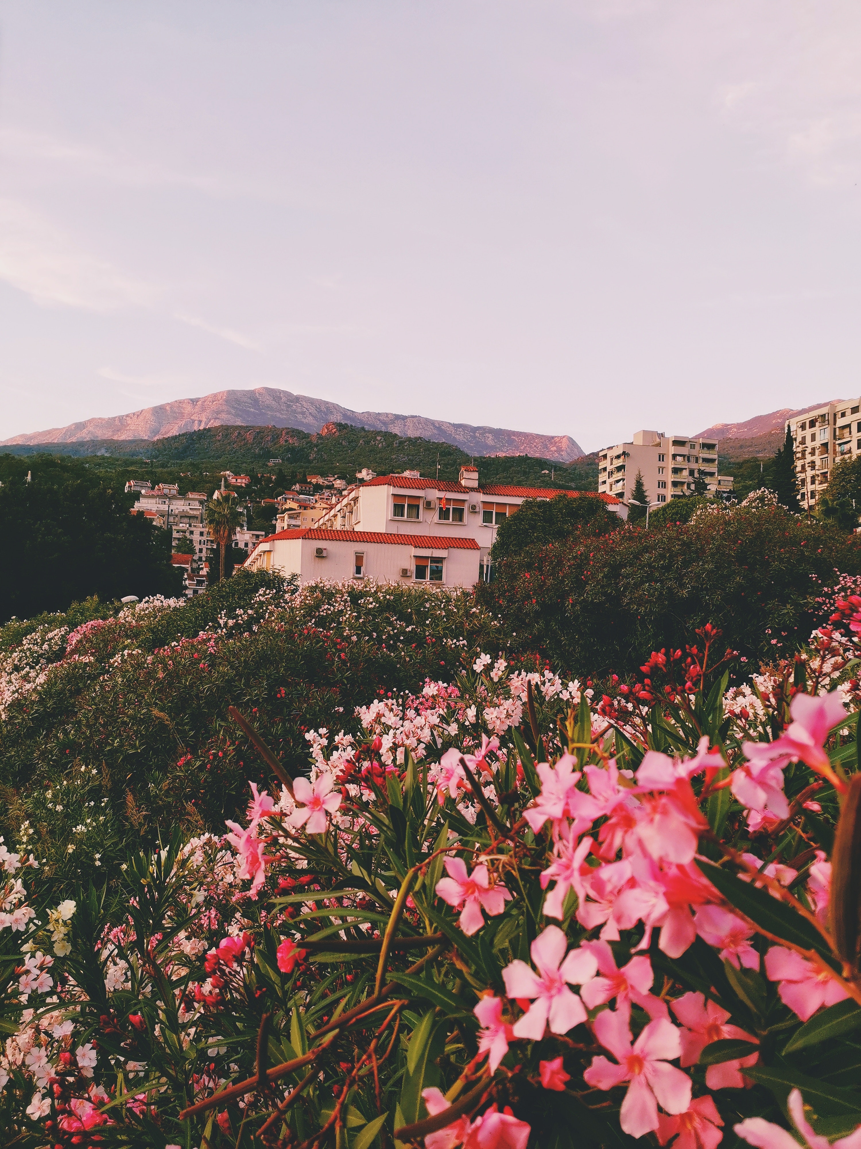 Start Of Spring Photo, Download Free Start Of Spring & HD Image