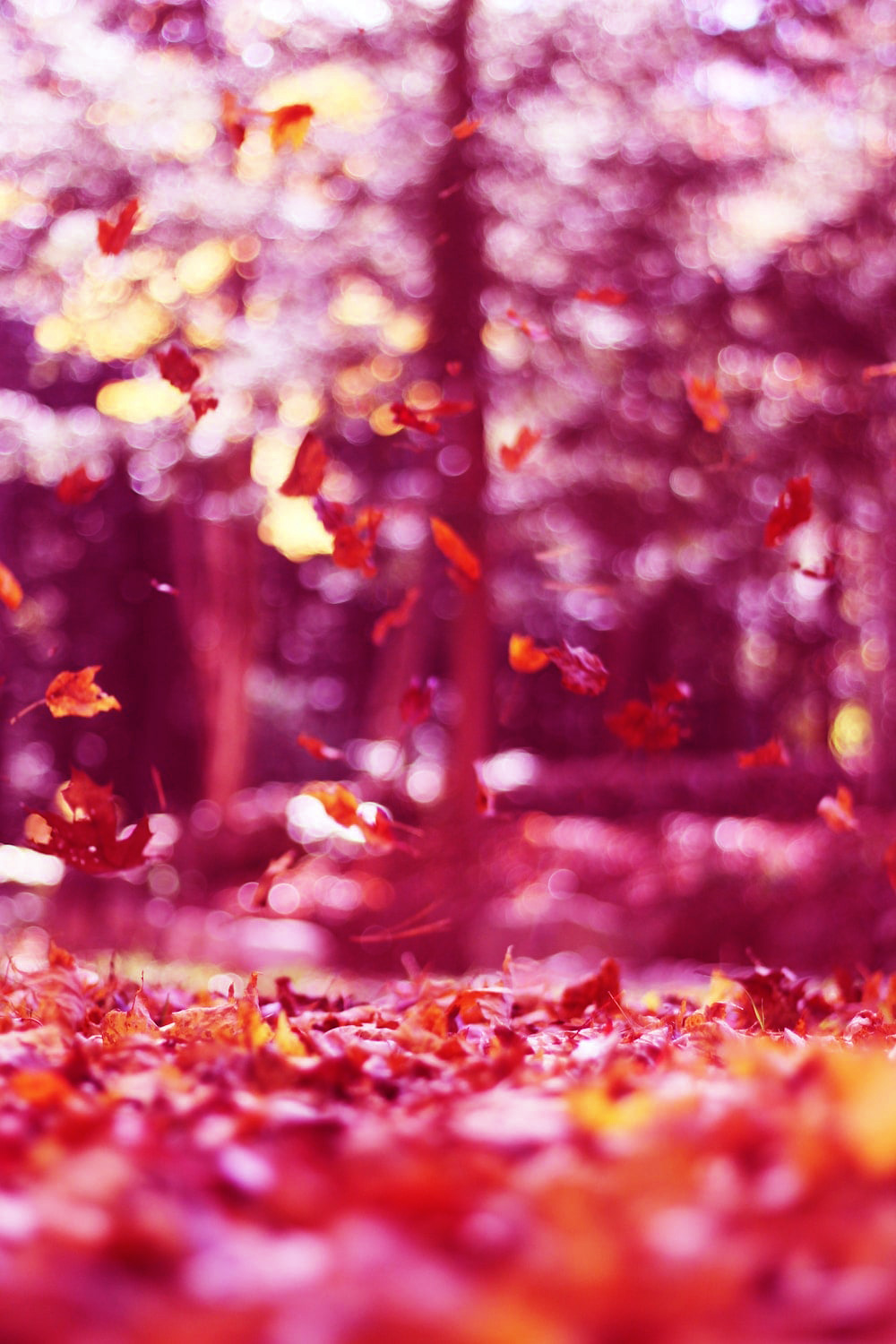 Fall Aesthetic Laptop Wallpaper