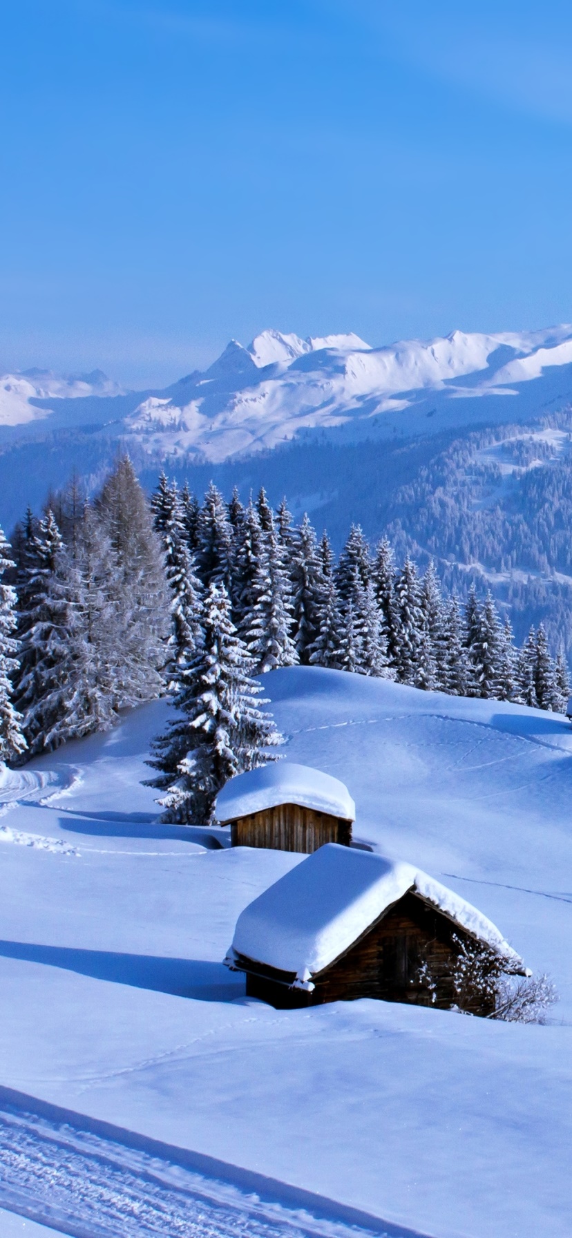 Wallpaper / Photography Winter Phone Wallpaper, Nature, Landscape, Snow, 828x1792 free download