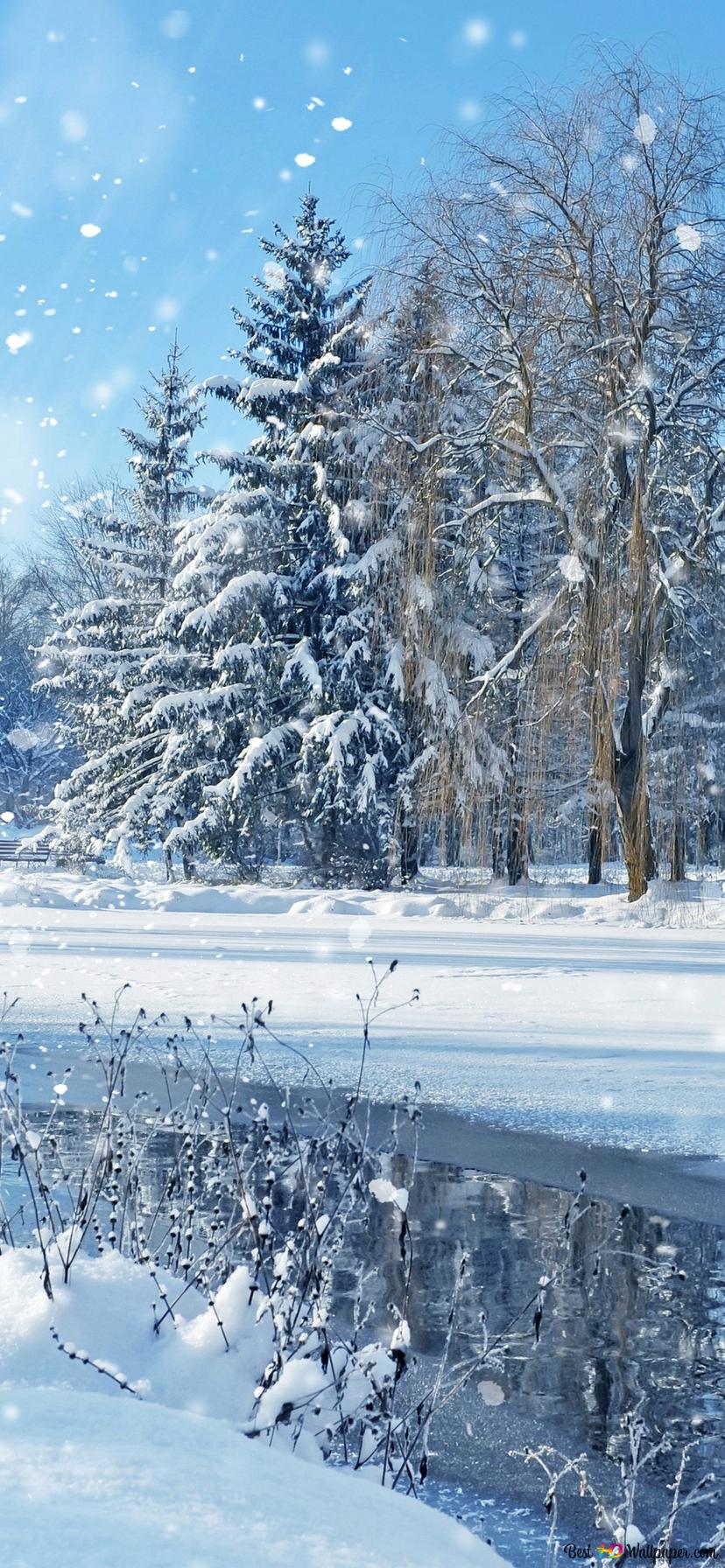 Winter White Landscape 2K wallpaper download