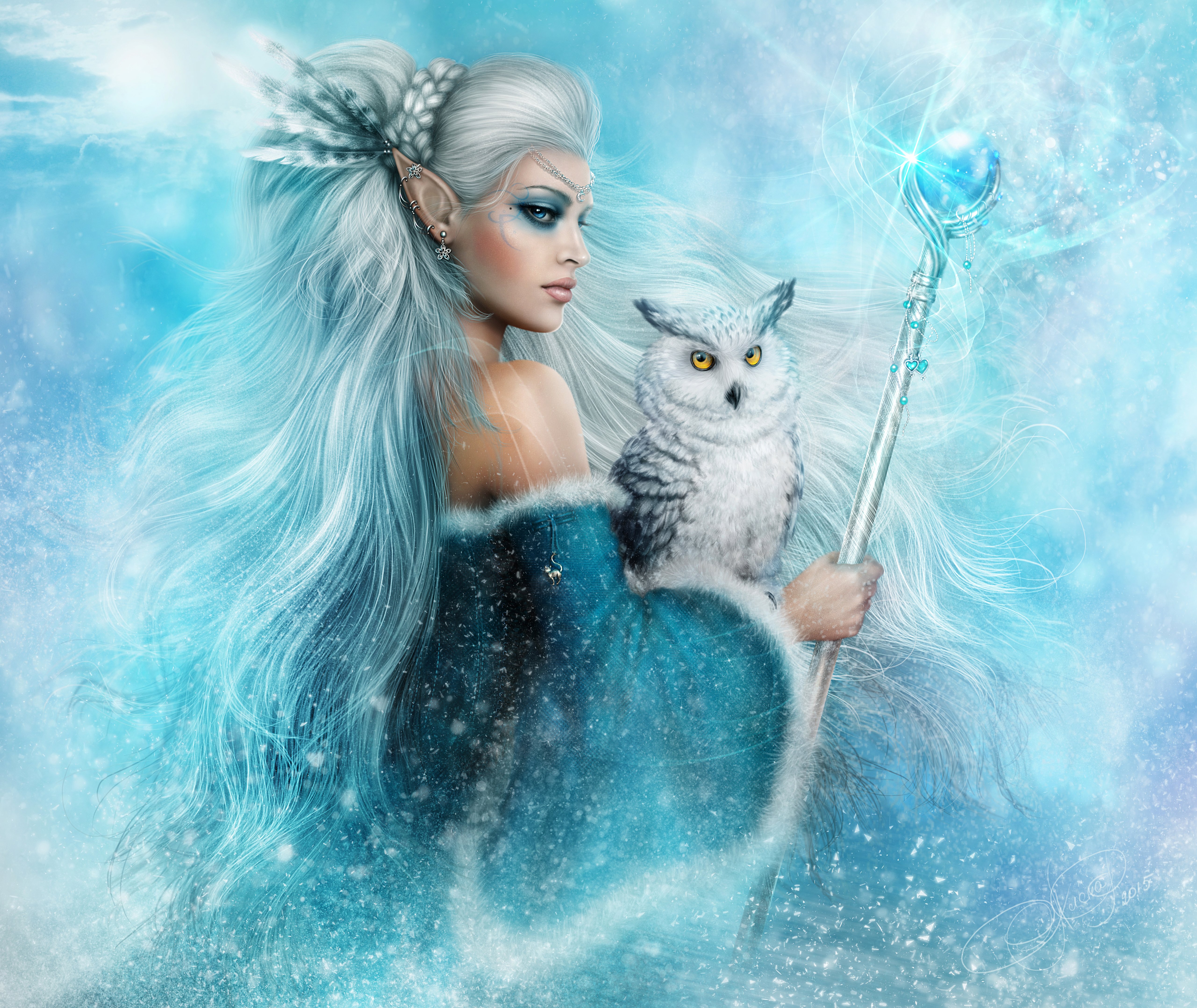 HD desktop wallpaper: Winter, Fantasy, Owl, Elf, Blue Eyes, Staff, Snowy Owl, White Hair download free picture