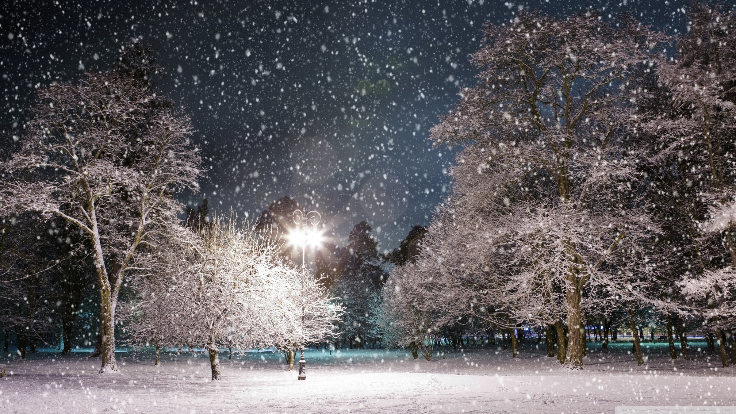 Winter Night Wallpaper