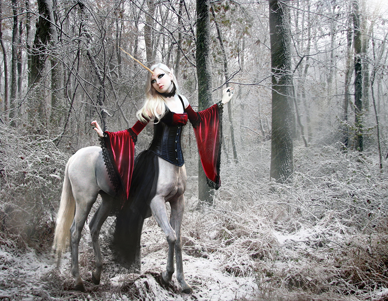 Picture Unicorns Winter Fantasy young woman forest