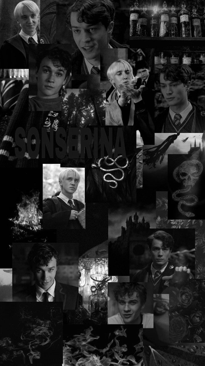 Wallpaper Draco, Tom e Mattheo