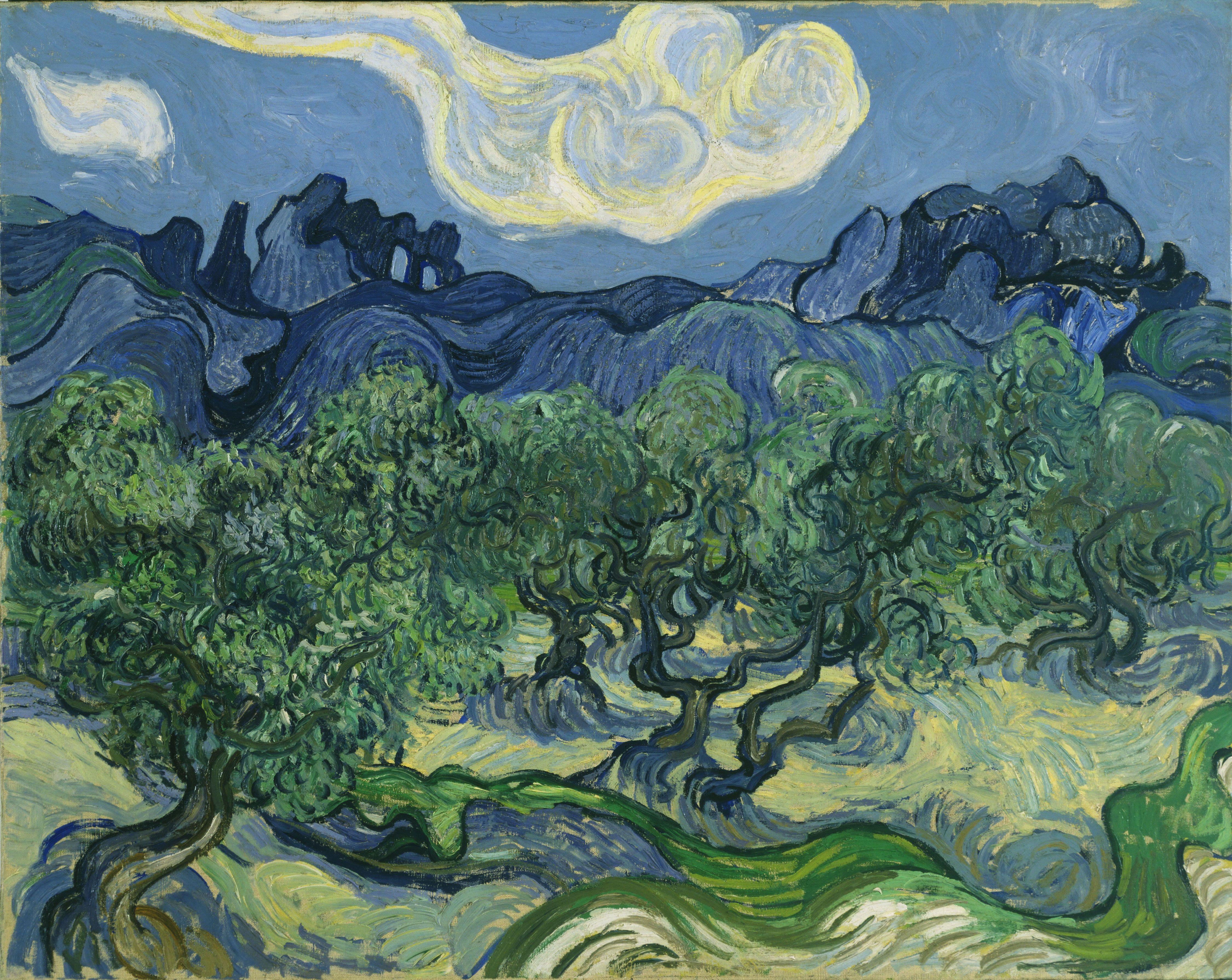 Van Gogh The Olive Trees