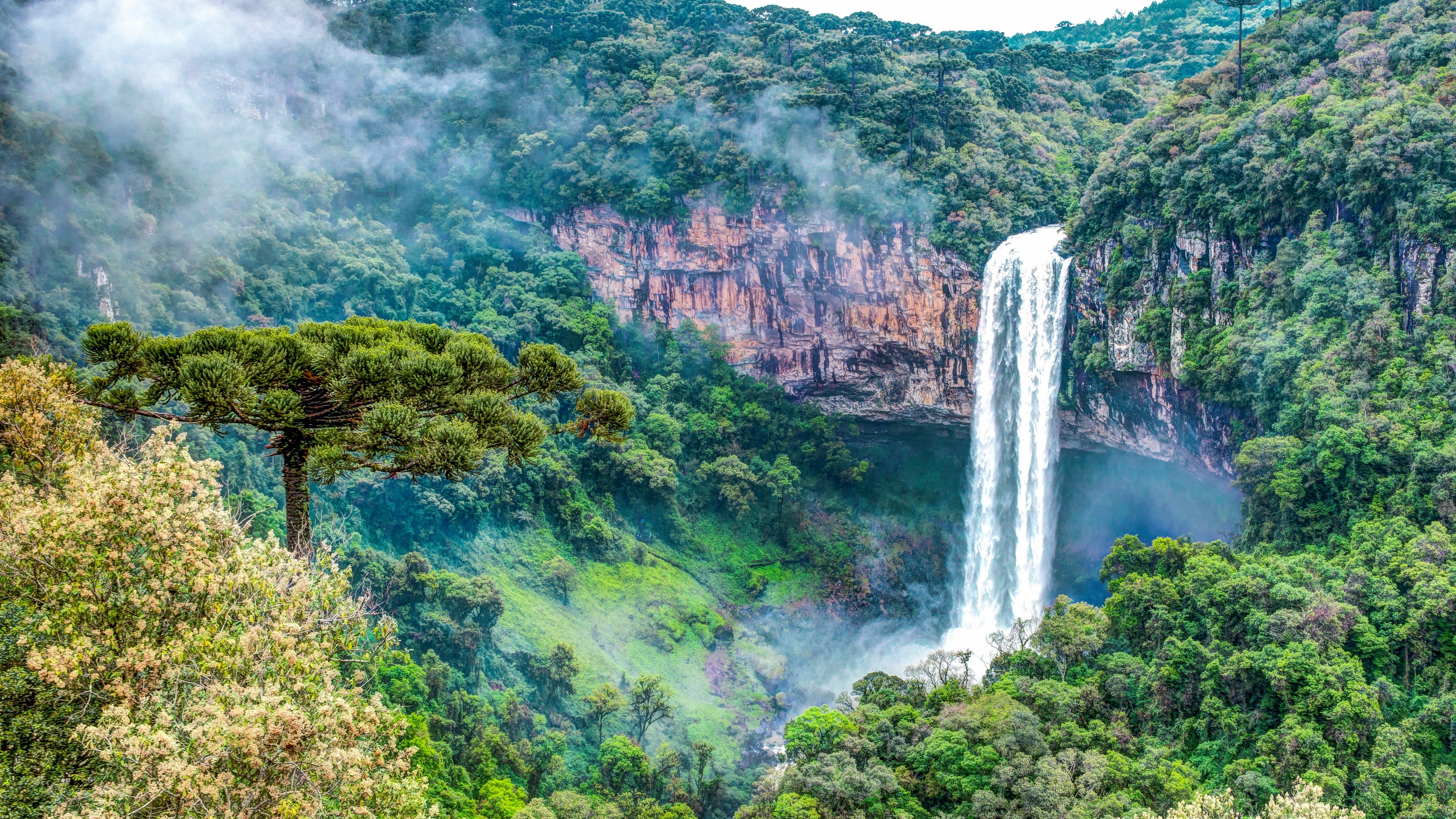 Forest, Rainforest, Rock, Valley, Waterfall 4k Gallery HD Wallpaper