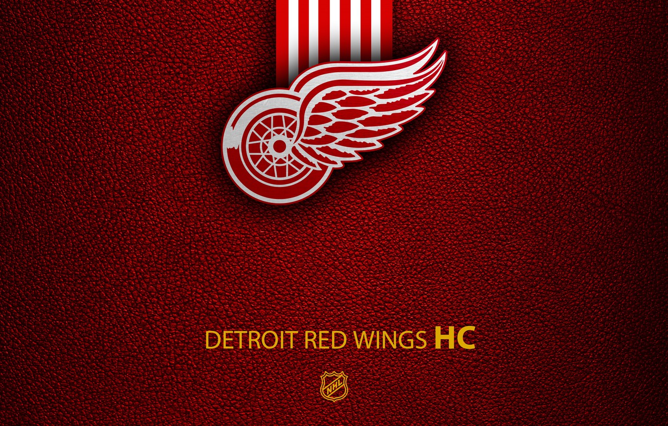 Wallpaper wallpaper, sport, logo, NHL, hockey, Detroit Red Wings image for desktop, section спорт