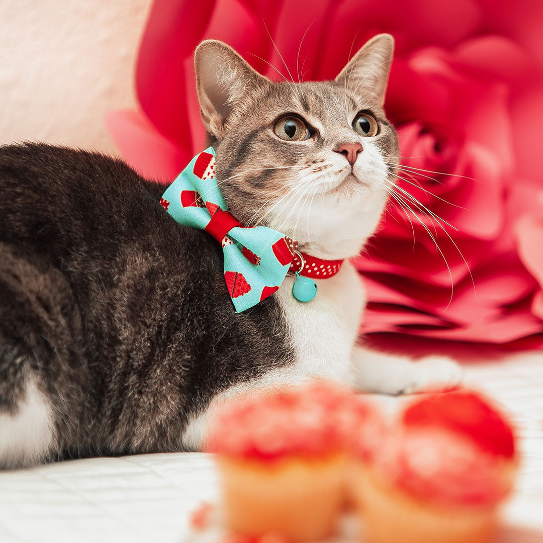 Pet Bandana Cupcake's Day Cupcake Bandana f By Cleo