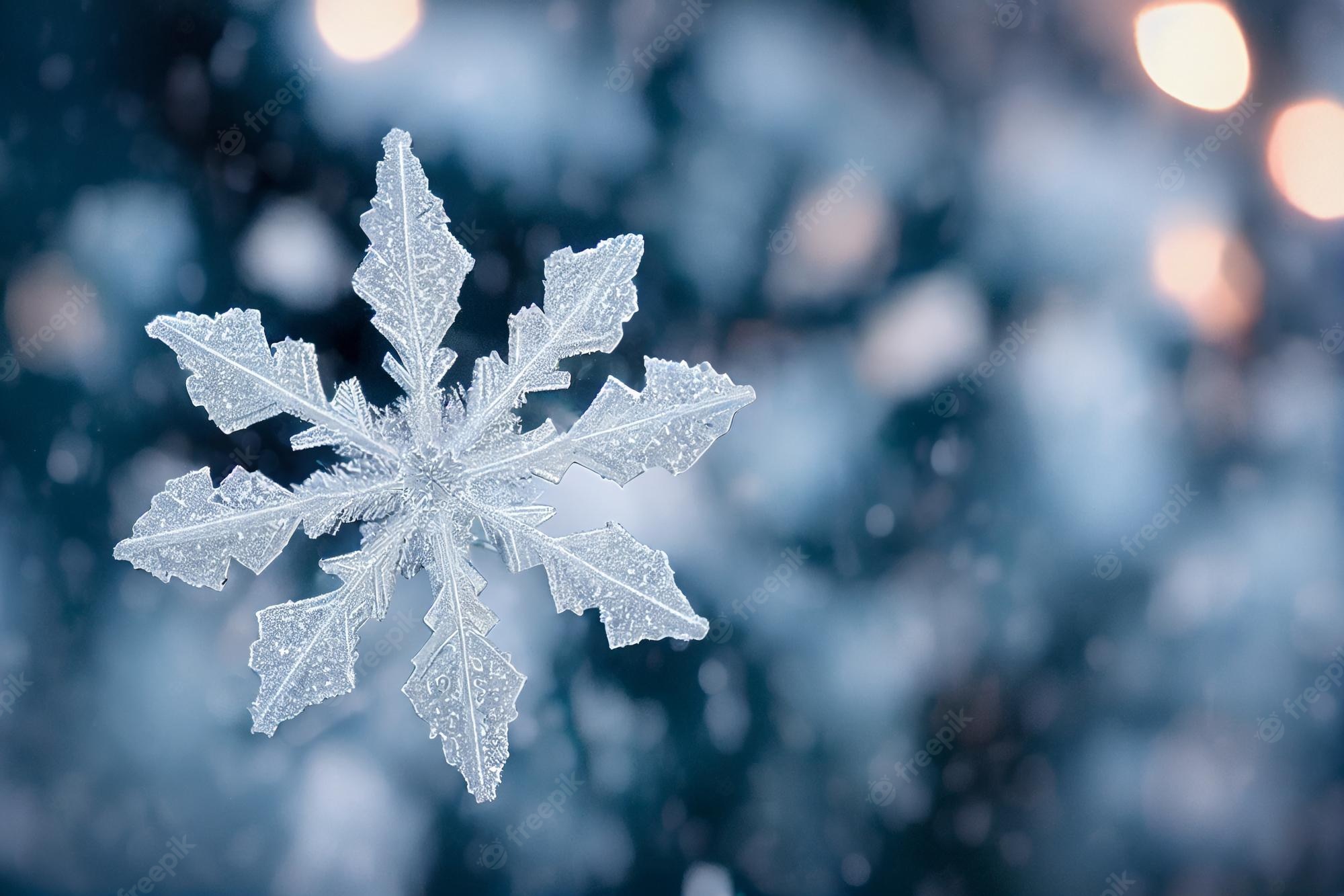 Premium Photo. Winter snow background banner abstract bokeh snowflake closeup free space for textwinter snow digital art snowflakes falling in a blizzard
