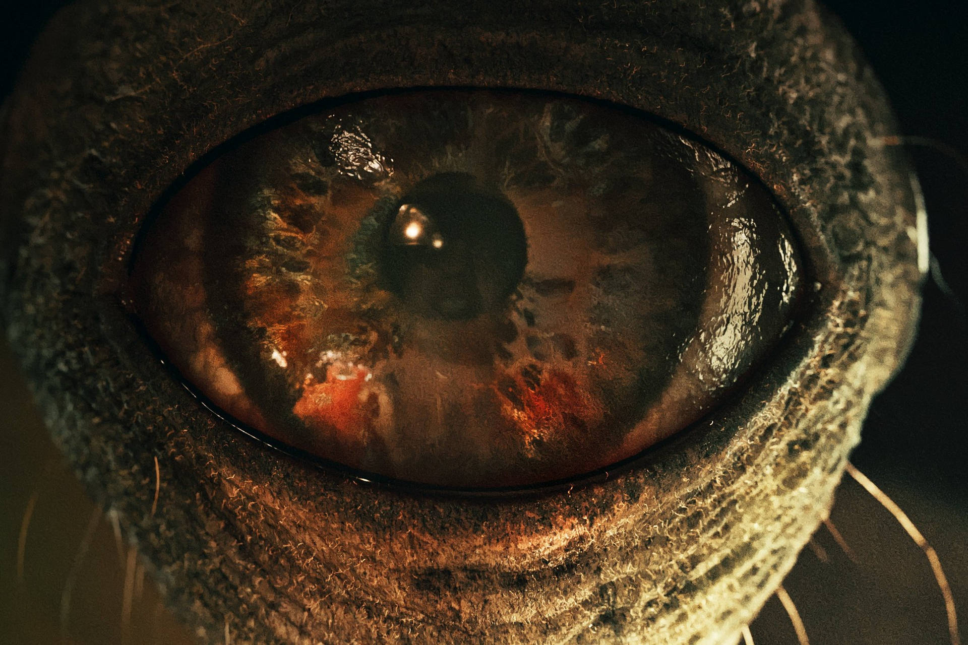 Download Netflix Sweet Home Eye Ball Monster Wallpaper