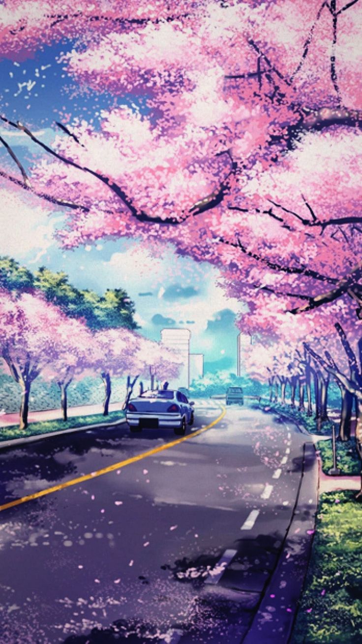 Anime spring. Cherry blossoms illustration, Phone wallpaper, iPhone photography