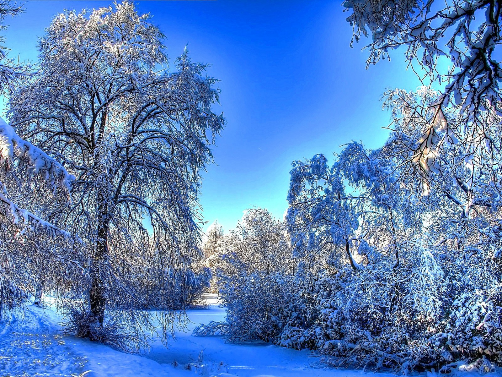 Free download cute winter landscape [1600x1200] for your Desktop, Mobile & Tablet. Explore Cute Winter Desktop Wallpaper. Cute Winter Background, Winter Wallpaper, Background Winter