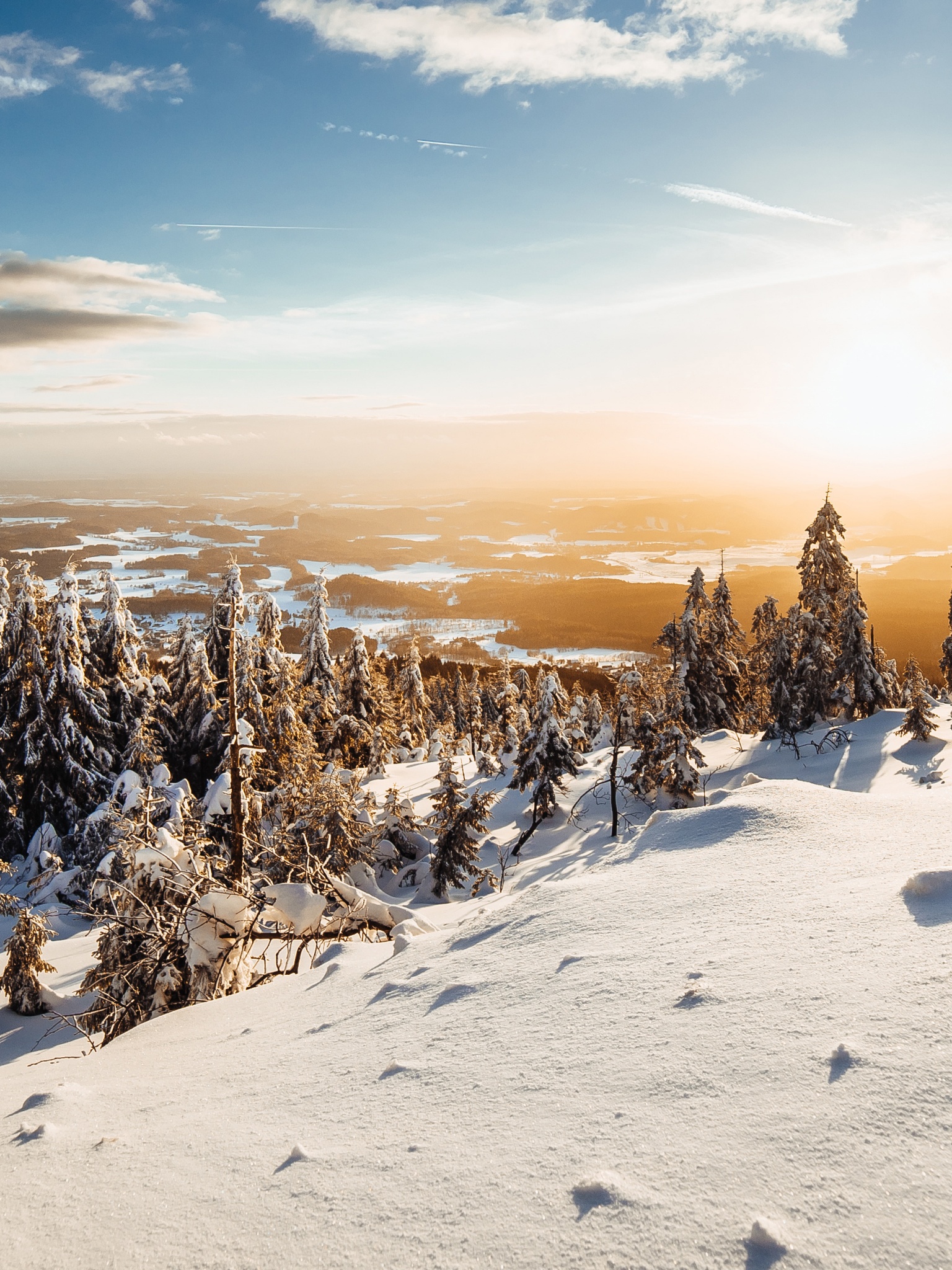Winter Wallpaper 4K, Landscape, Pine trees, Nature