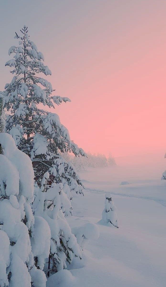 1 Winter. Winter landscape, Winter scenery, Winter background