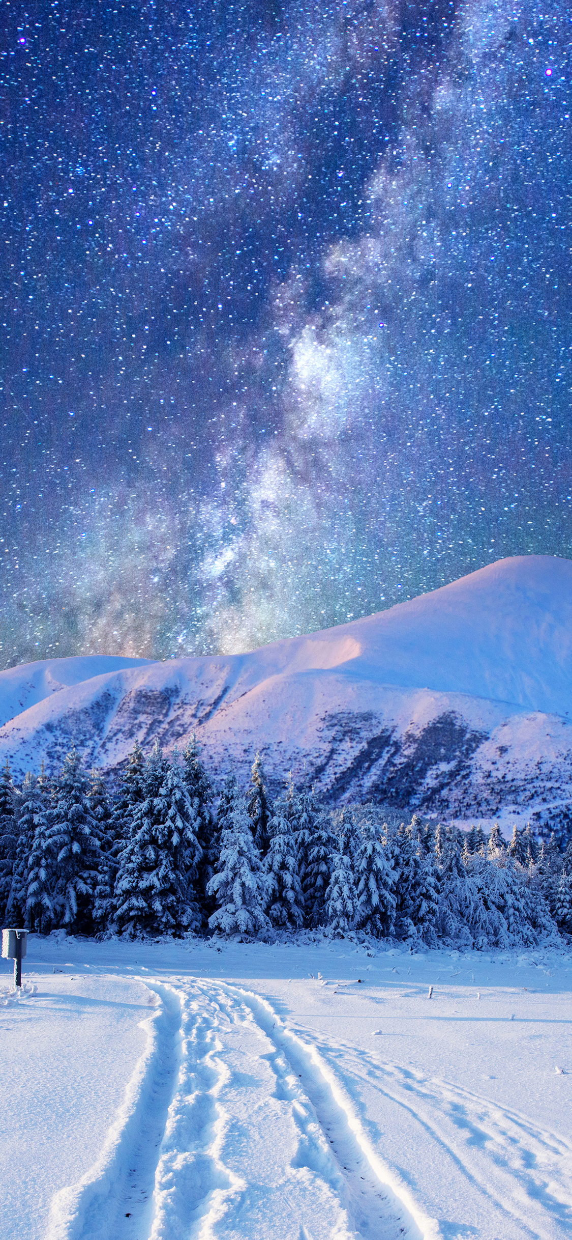 Starry Sky over Winter Landscape Mobile Wallpaper Mobile Walls