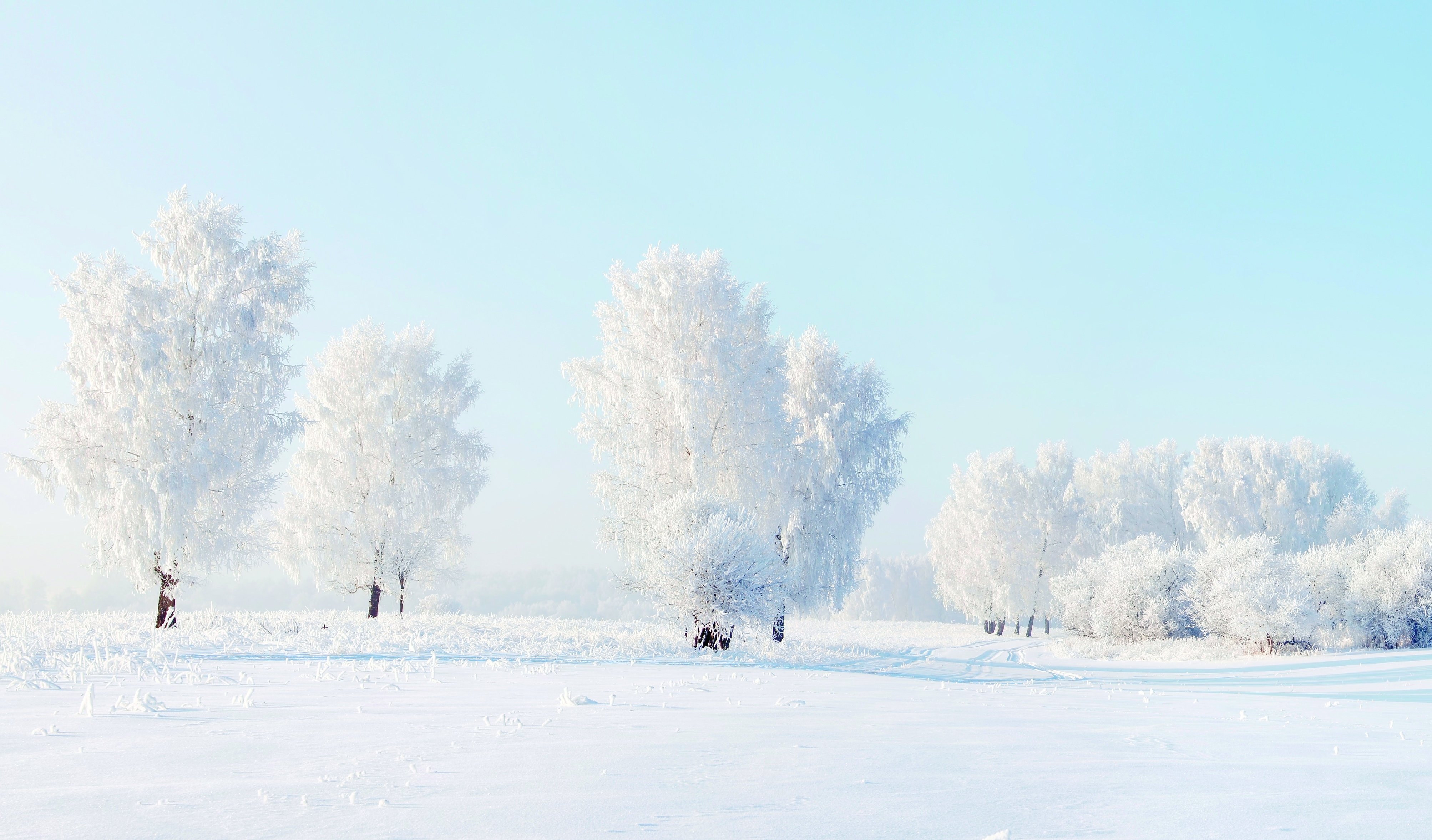 winter, Nature, Snow, Beautiful, Lovely, Landscape, Landscapes Wallpaper HD / Desktop and Mobile Background
