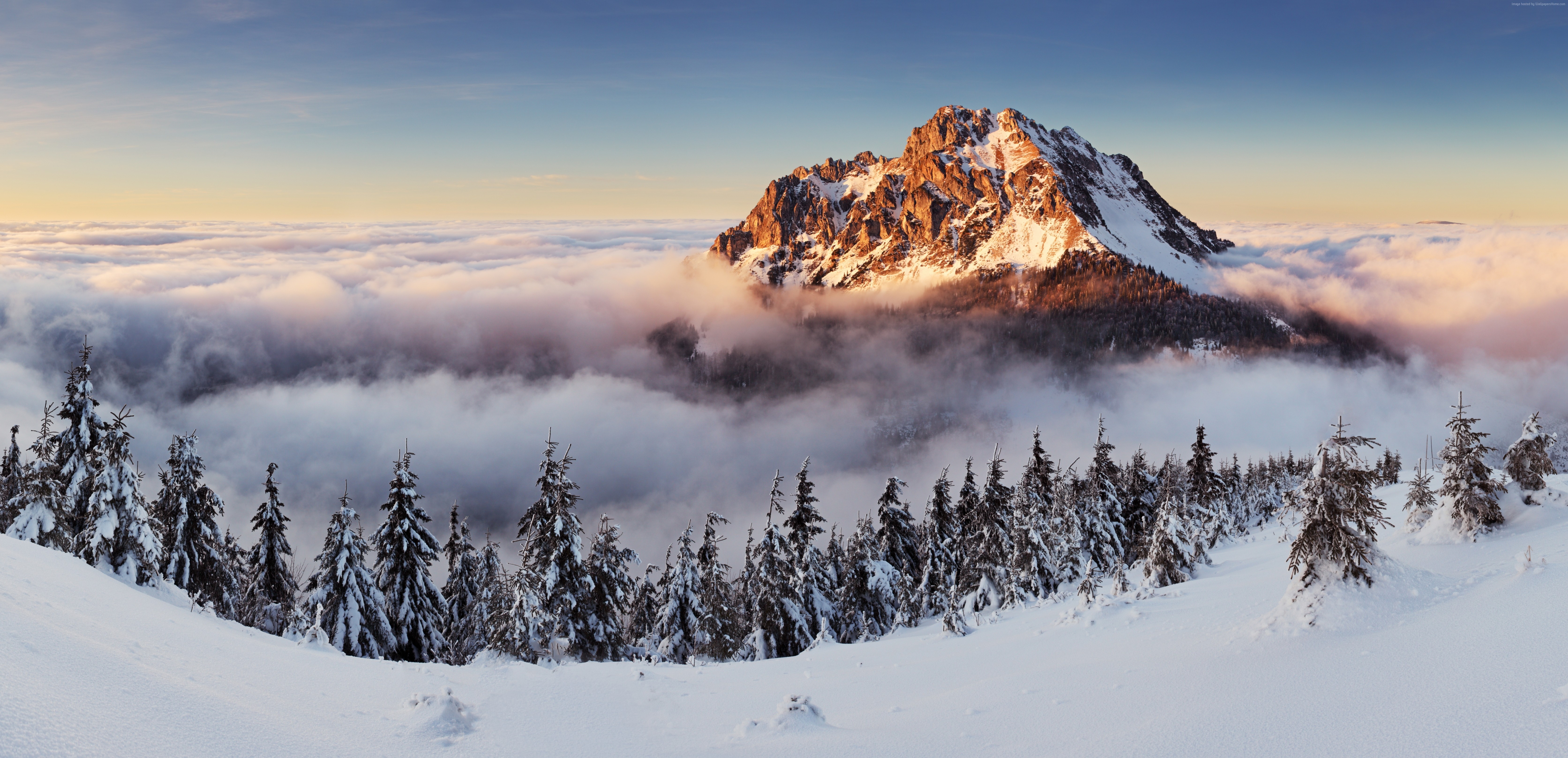 4k, 8k, fog, 5k wallpaper, mountains, pines, snow, Slovakia Gallery HD Wallpaper