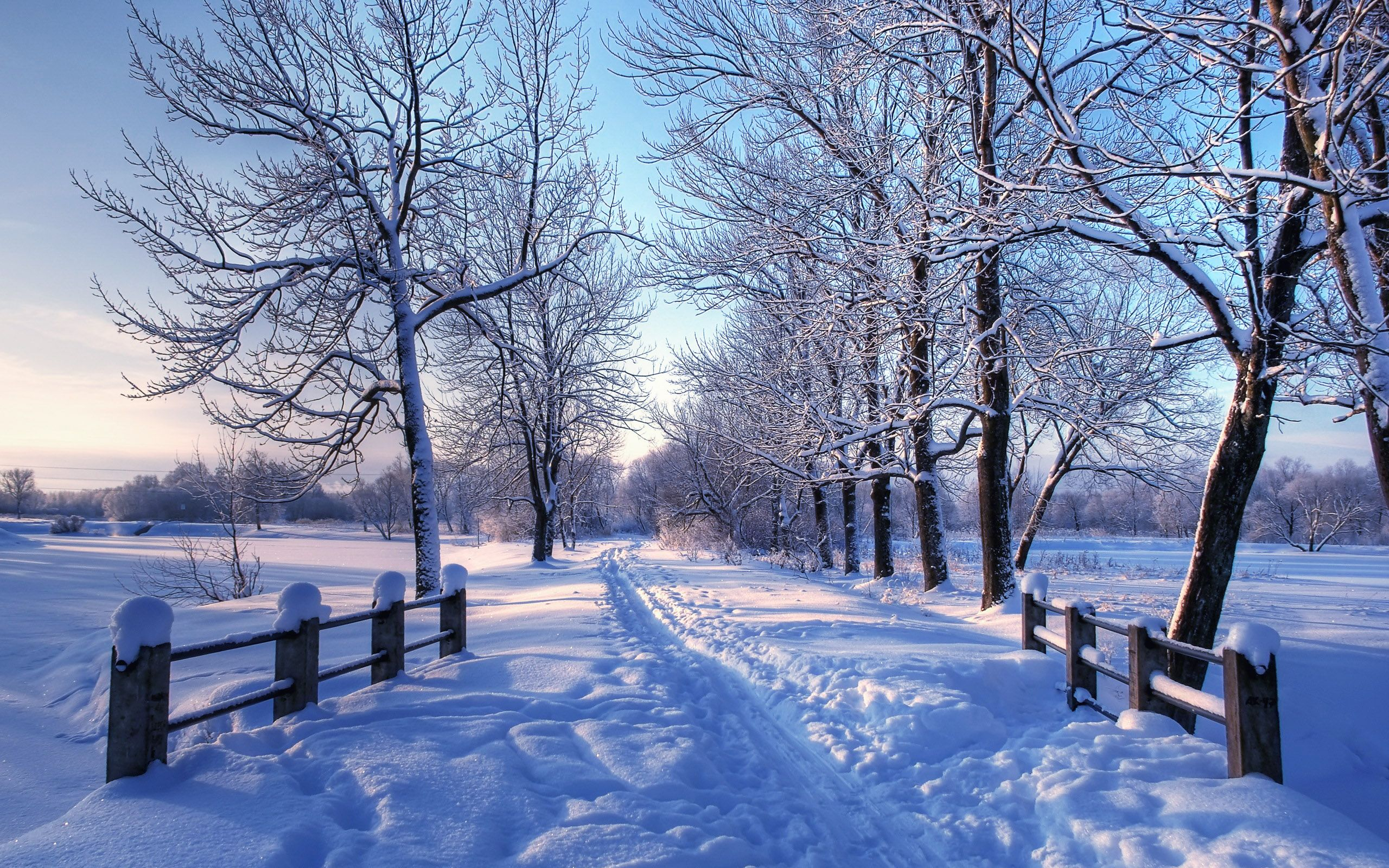 Winter Landscape Wallpaper and Background 4K, HD, Dual Screen