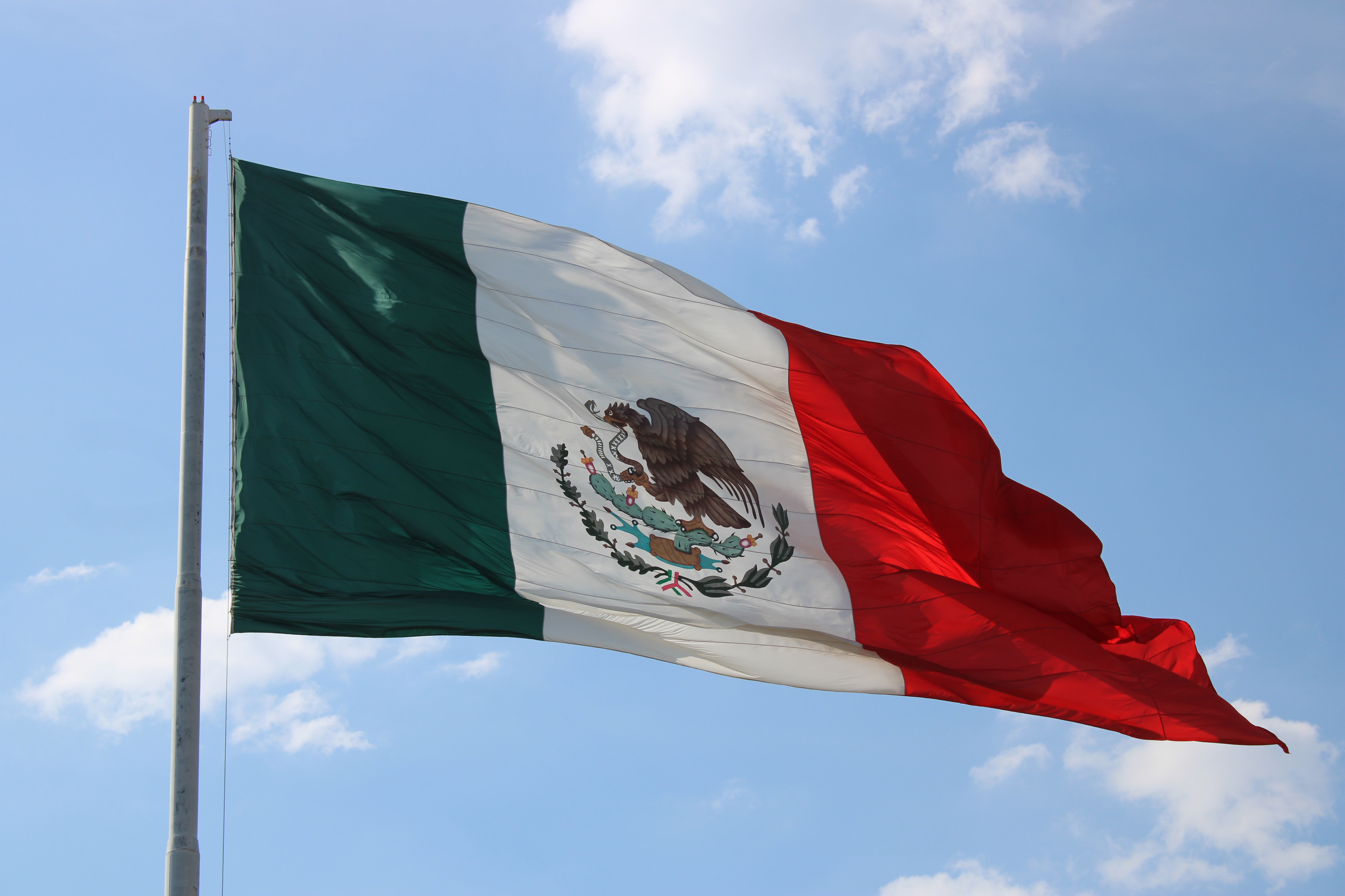 Flag of Mexico · Free