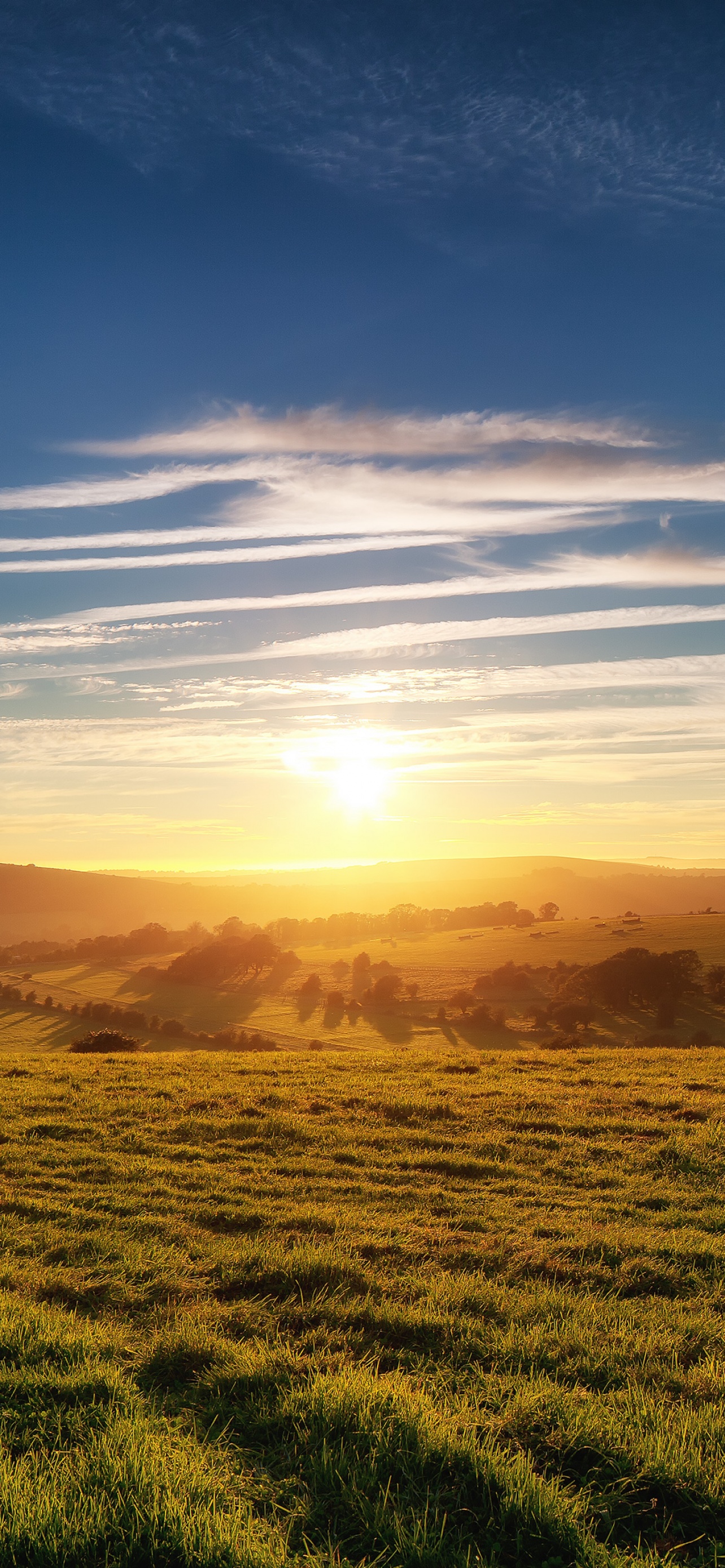 Green Meadow Wallpaper 4K, Grass field, Landscape, Nature